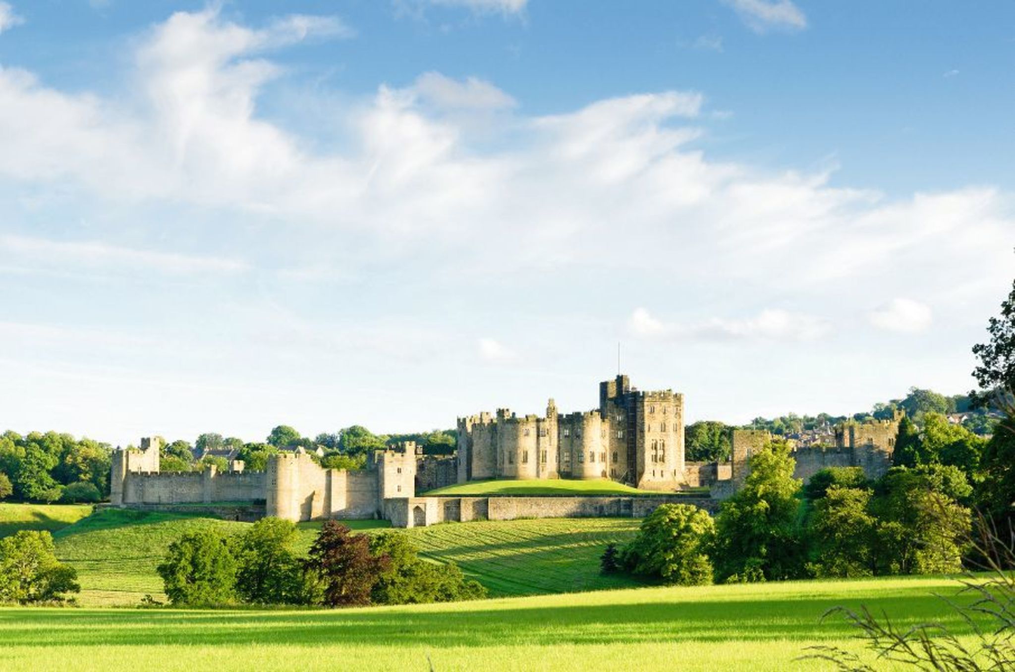 Distant Alnwick Castle Distant Alnwick Castle Bild