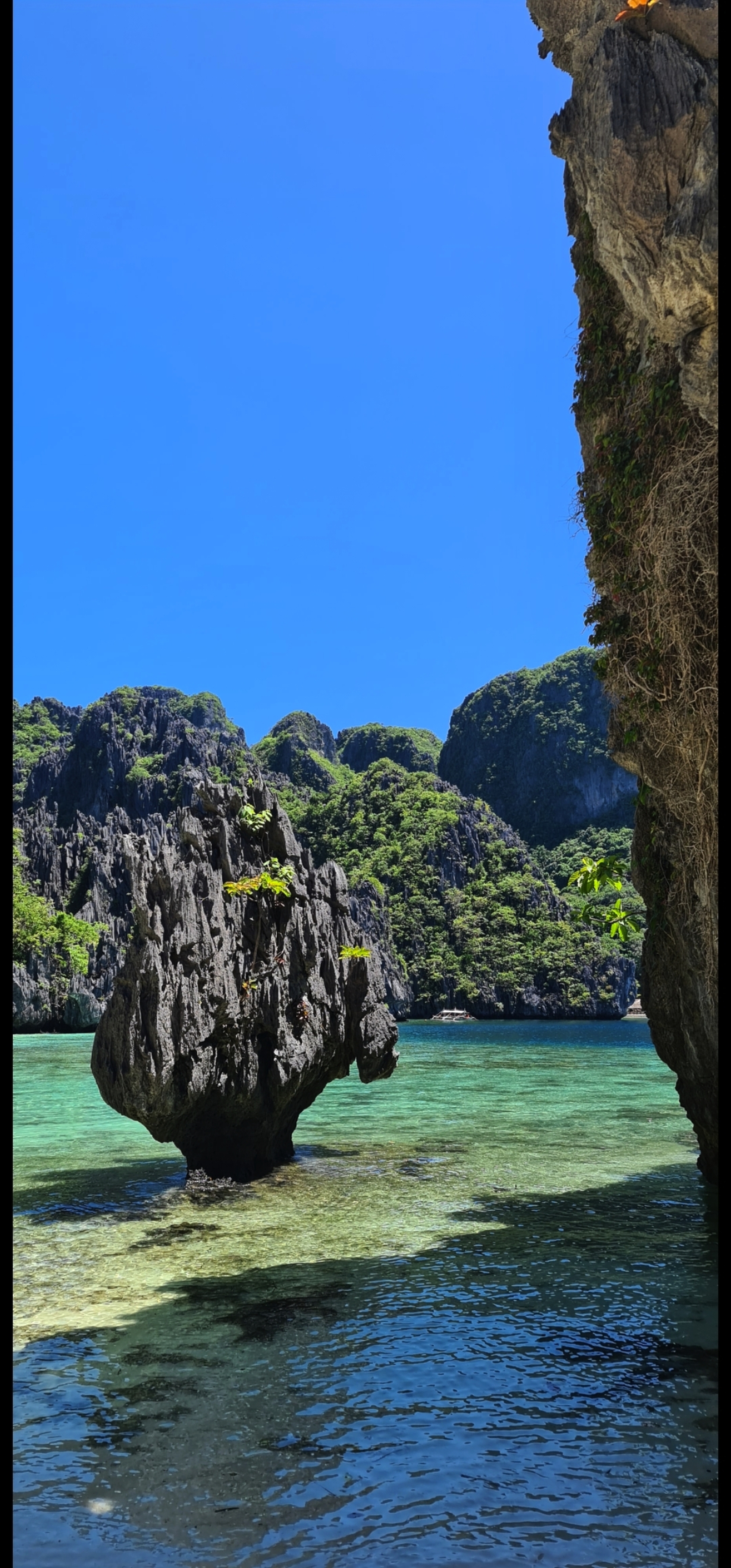 Palawan Palawan Bild