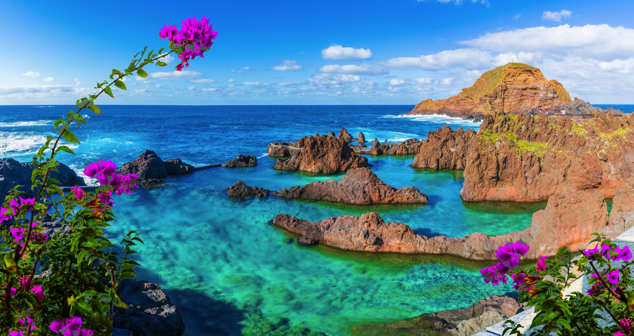 Küste mit roten Felsen und blühenden Blumen am klaren, türkisfarbenen Meer.