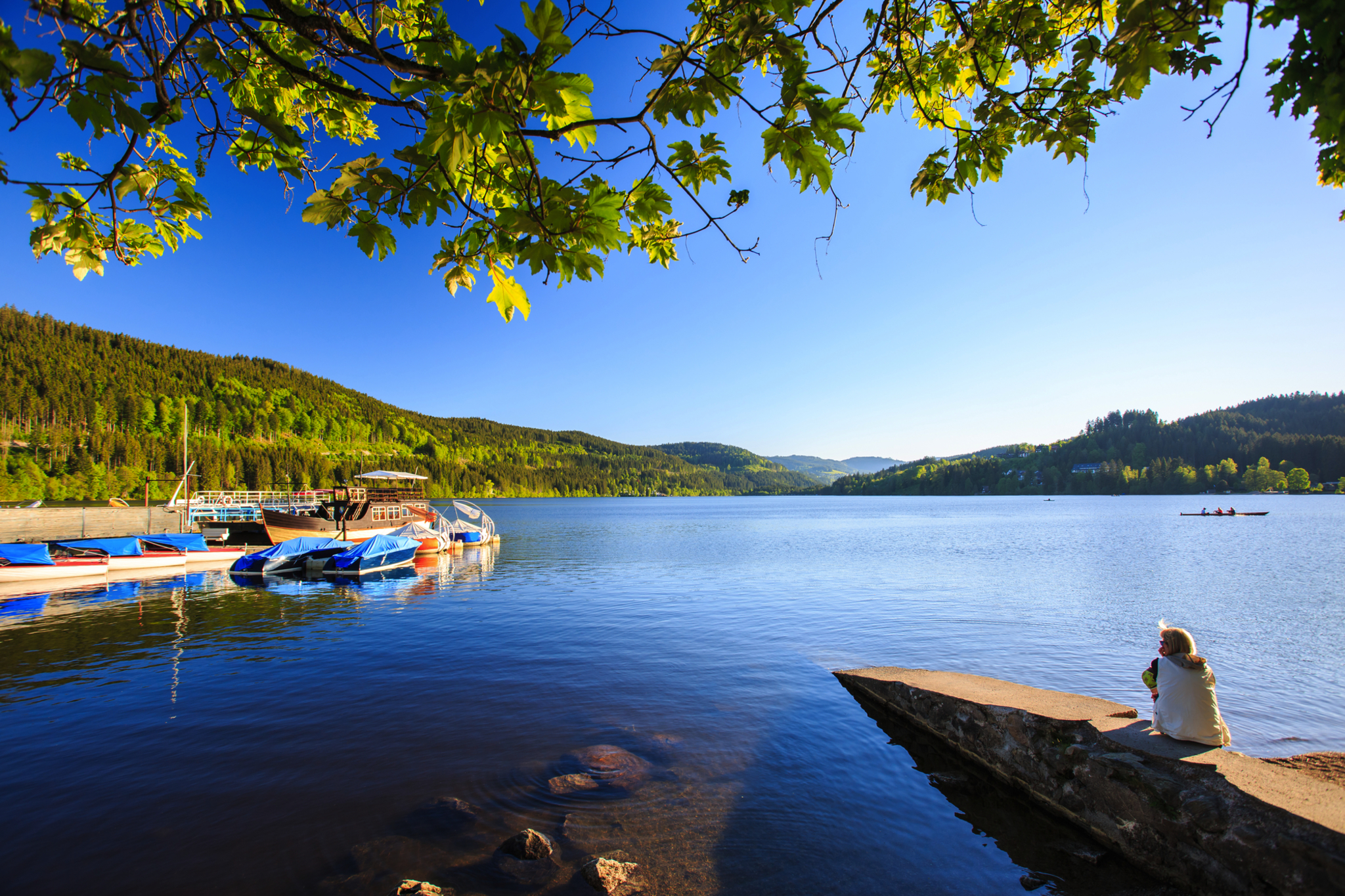 Der Titisee – ein wahres Meisterwerk der Natur Bild
