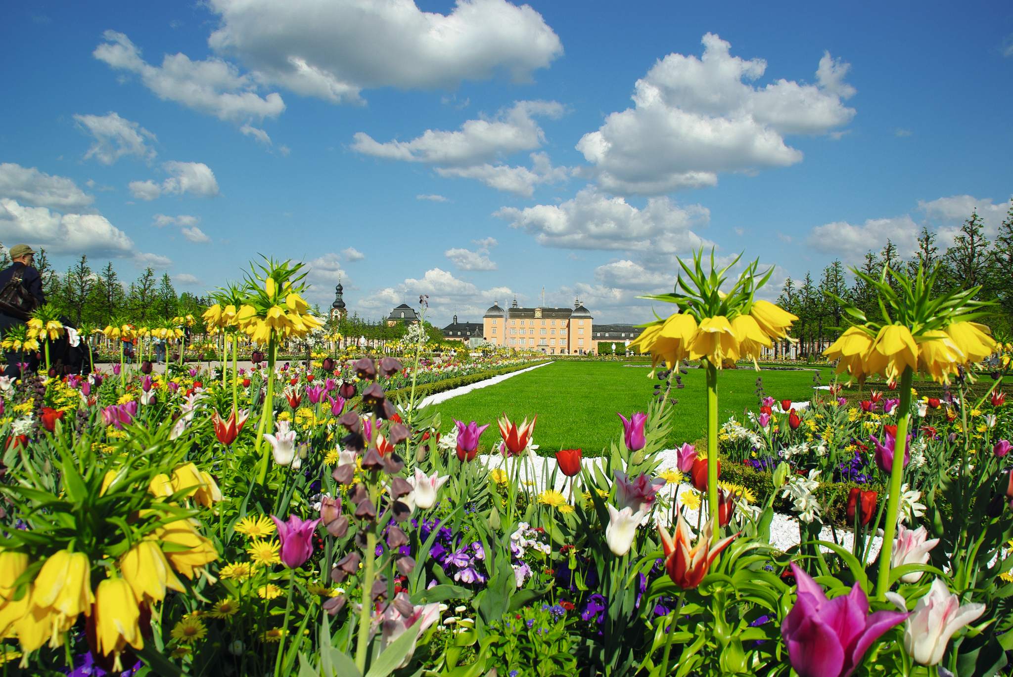 Blumenbeet mit gelben und bunten Blumen vor einem historischen Gebäude im Hintergrund.