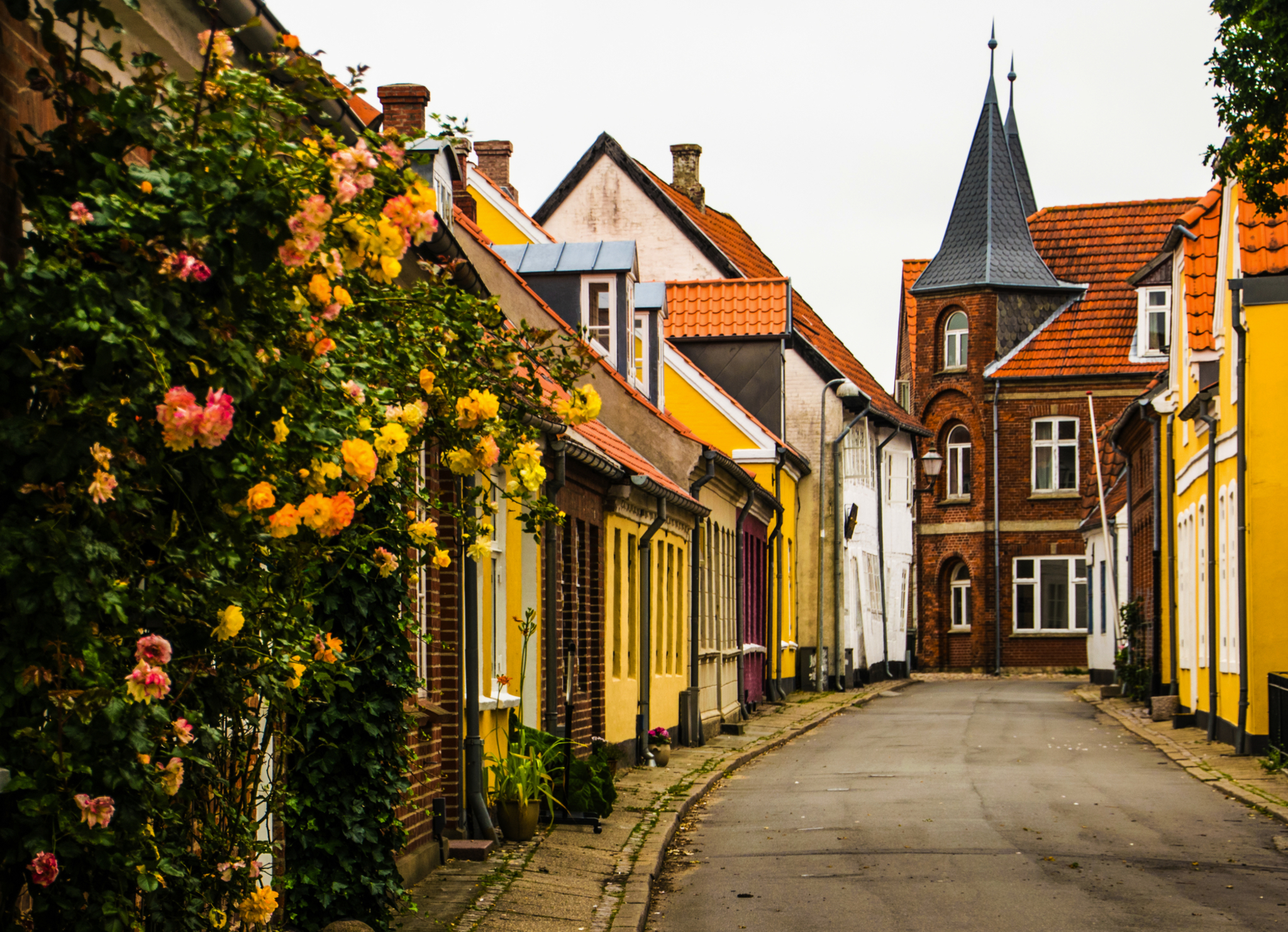 Pittoreske Straße mit bunten Häusern und Blumengewächsen in einer europäischen Altstadt.