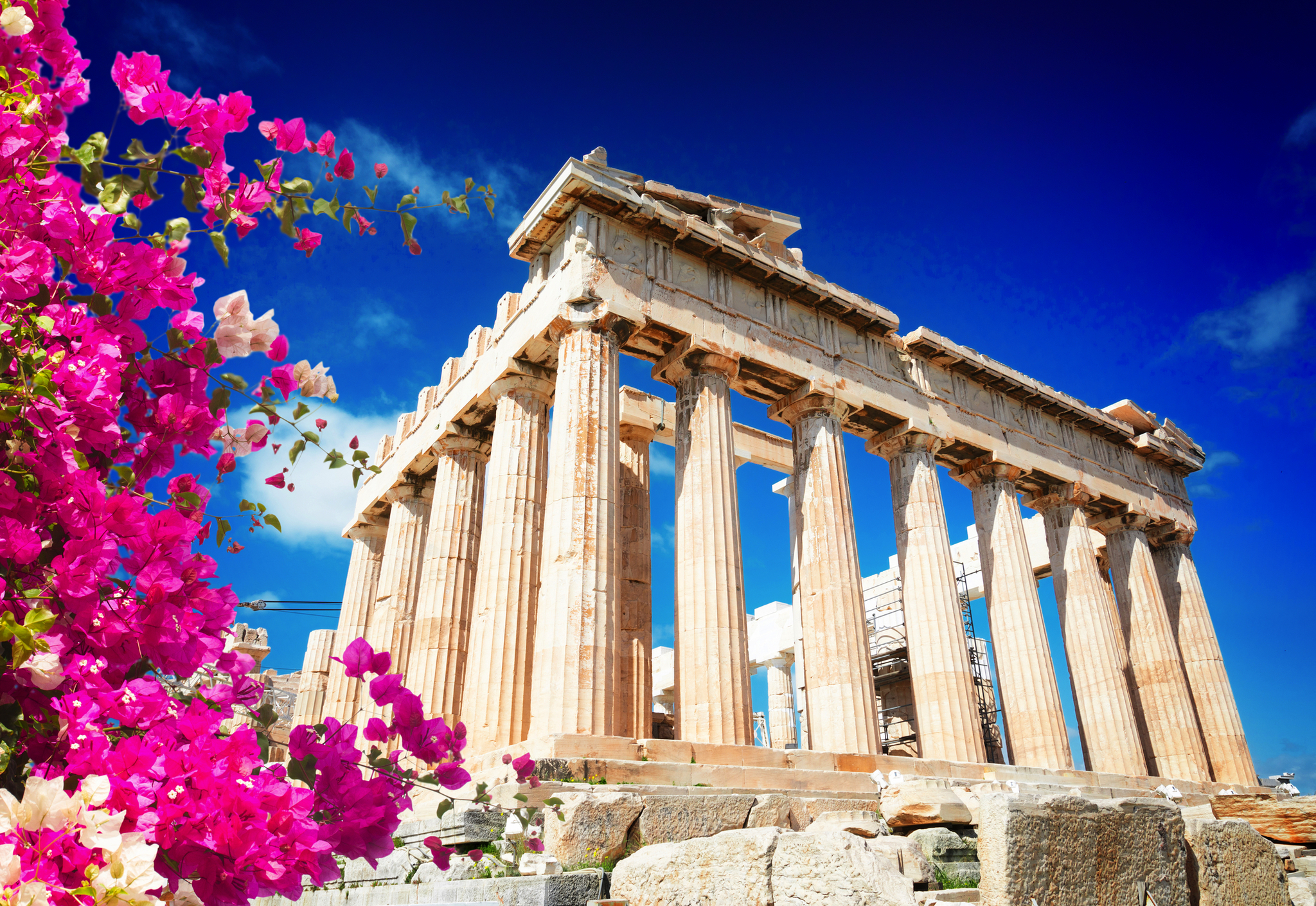 Parthenon-Tempel in Athen mit pinken Blumen im Vordergrund.