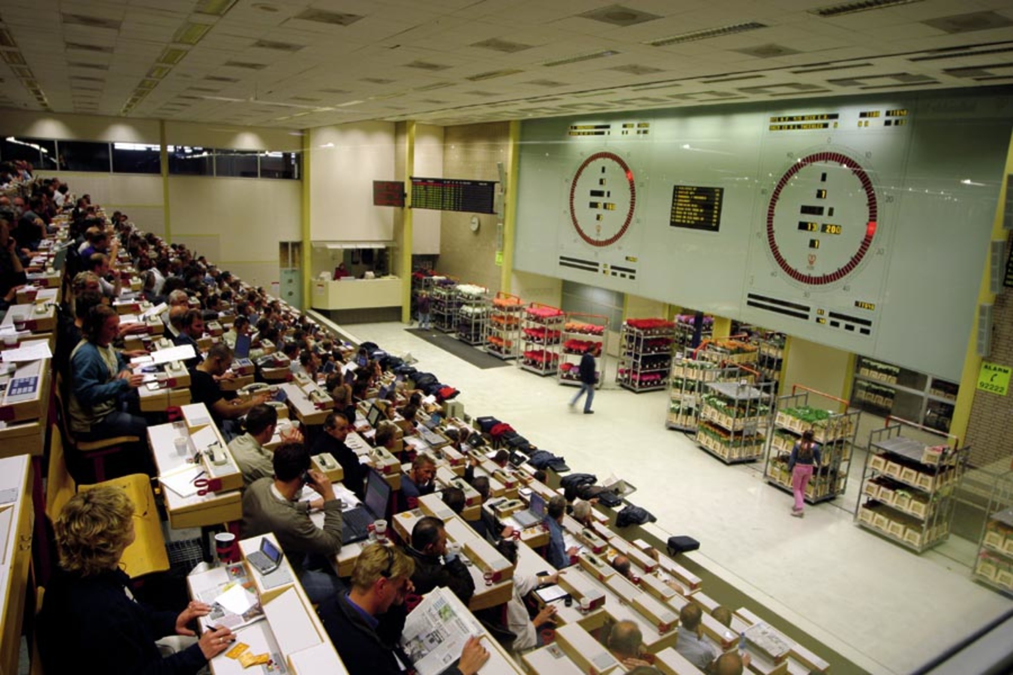 Blumenbörse Aalsmeer Bild