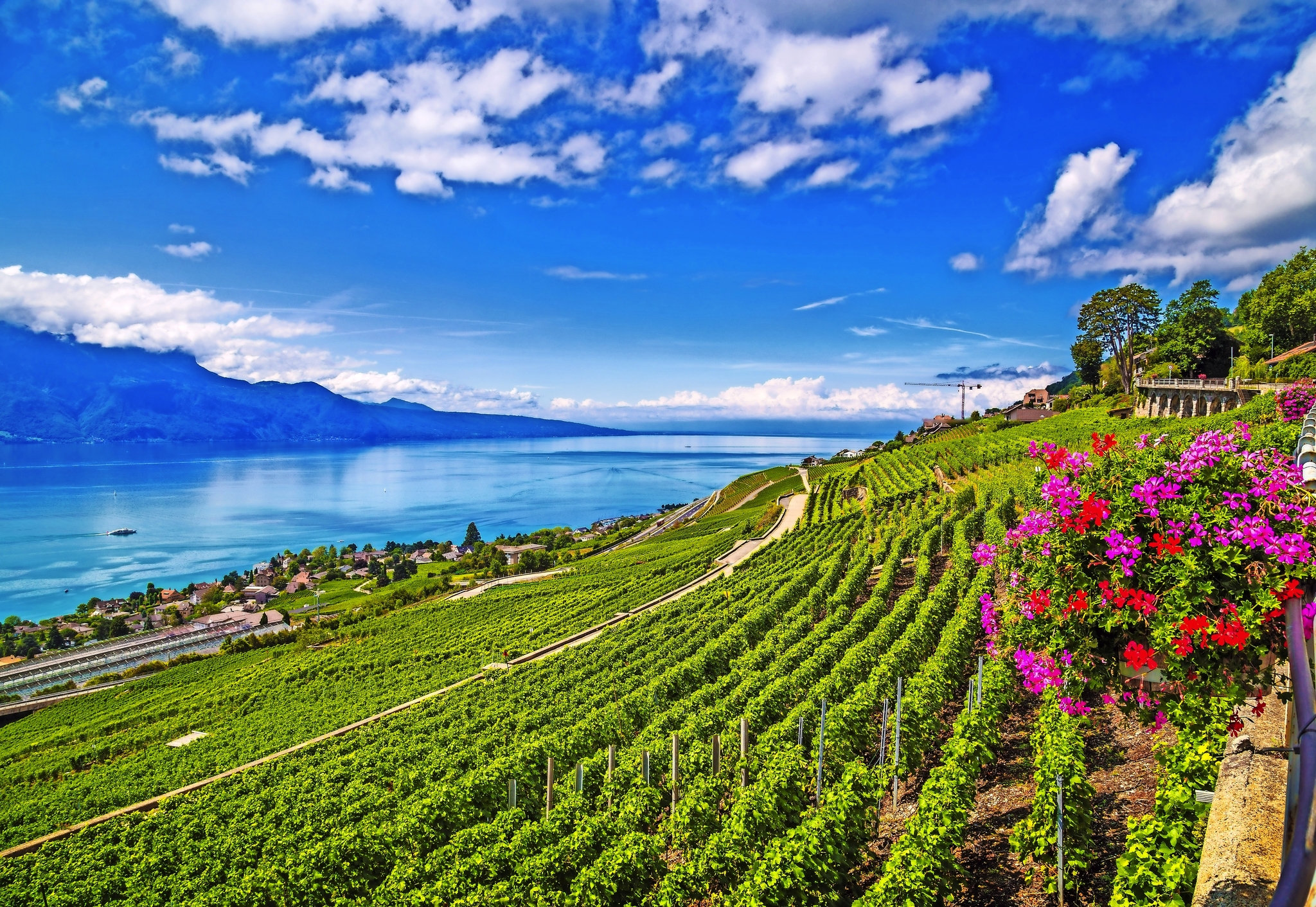 Lavaux Bild
