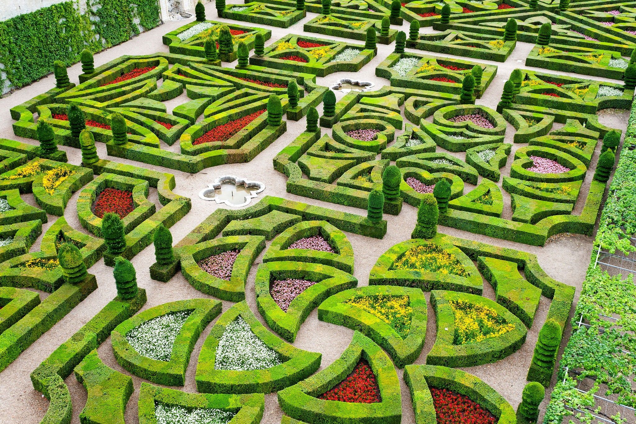 Schlossgärten von Villandry Bild