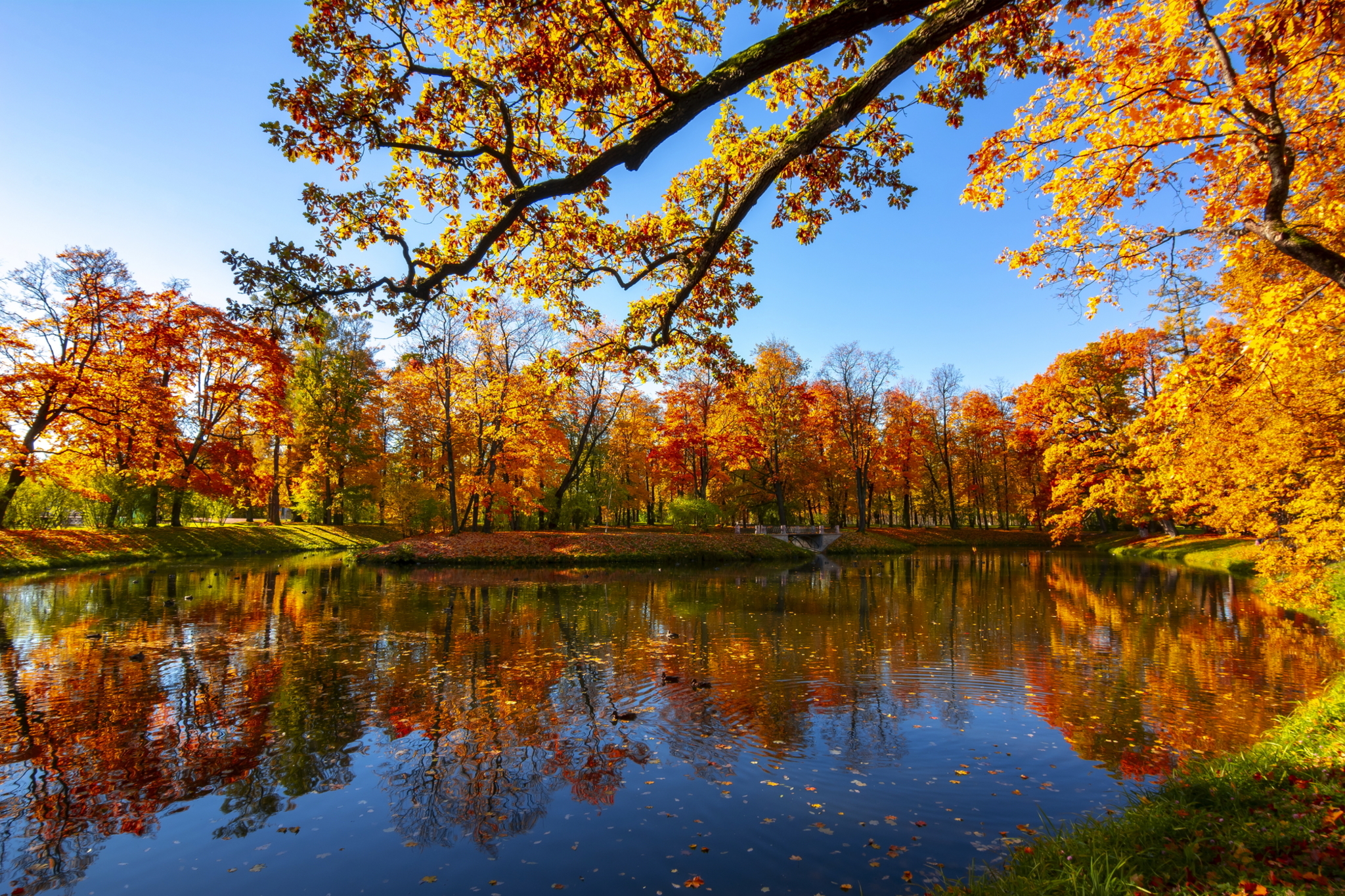 Goldener Herbst in Norwegen Bild
