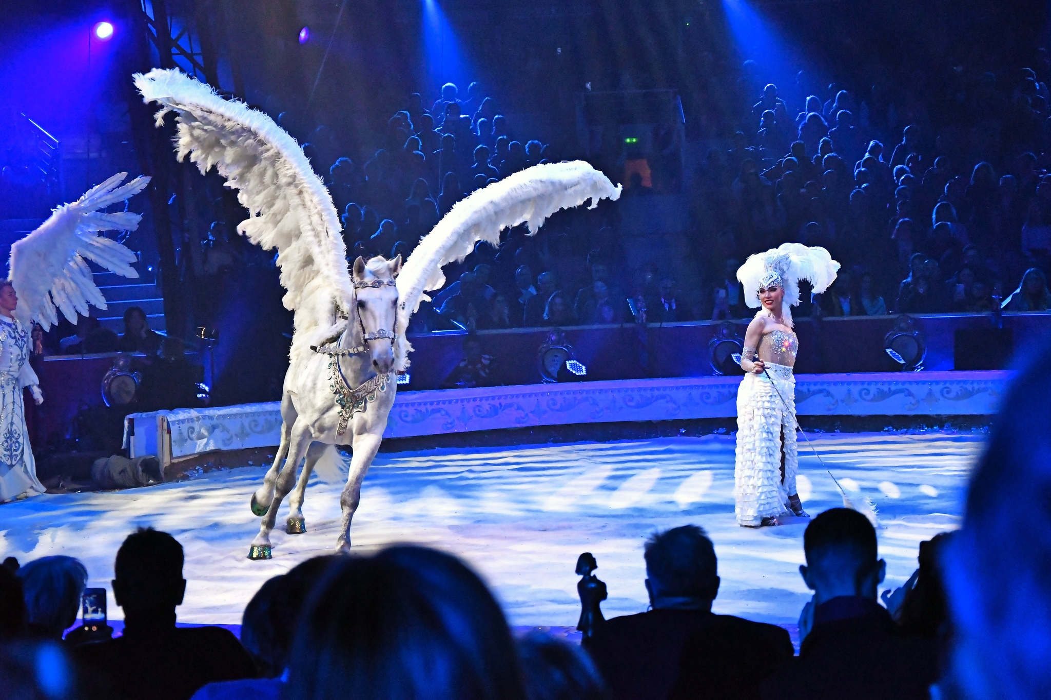 Zirkusfestival  Monte Carlo Bild