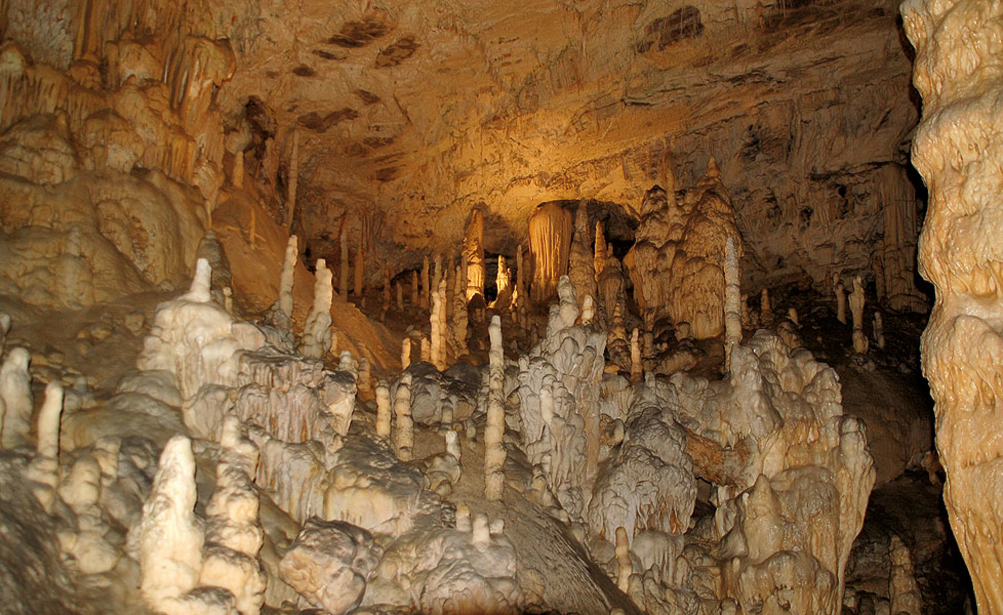 Postojna, Adelsberger Grotten Bild