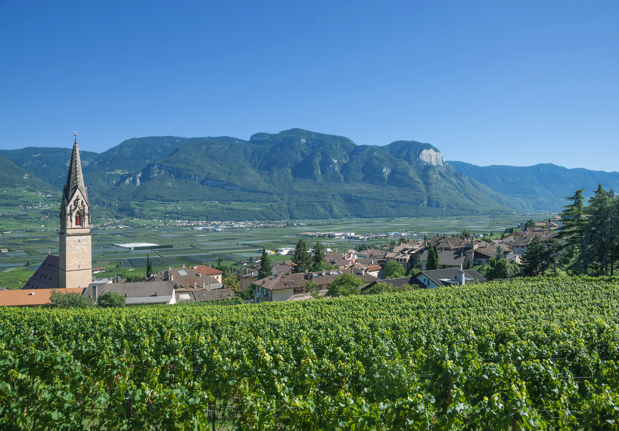 Weindorf Tramin an der Südtiroler Weinstrasse Weindorf Tramin an der Südtiroler Weinstrasse Bild