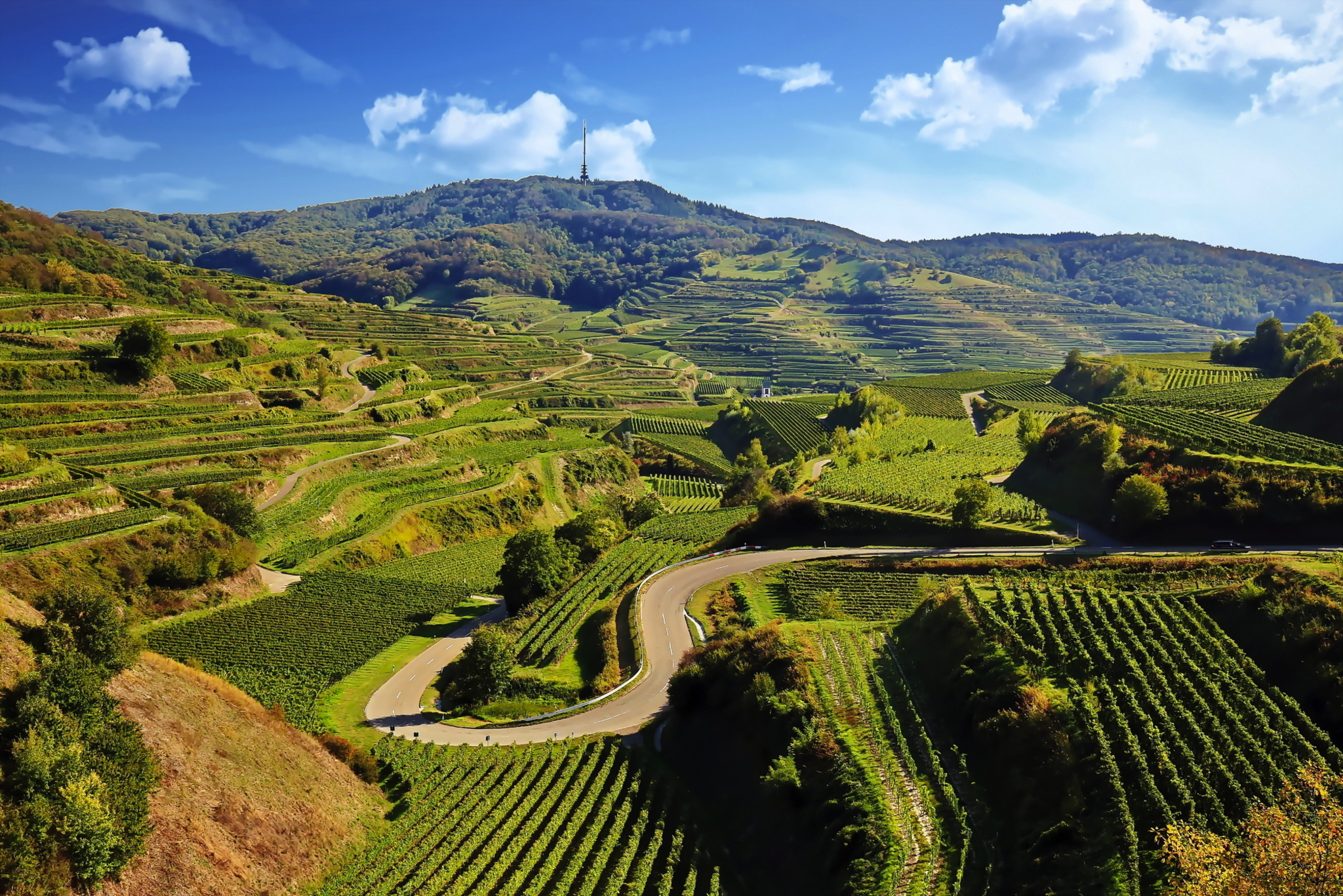 Weinberge auf terrassierten Hügeln mit einer Straße im Vordergrund und Sendemast auf einem Hügel.