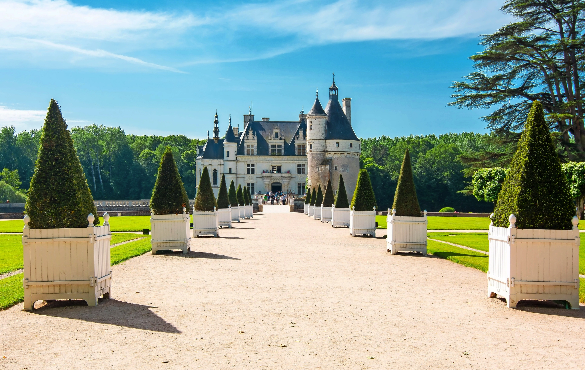 Chateau de Chenonceau Bild