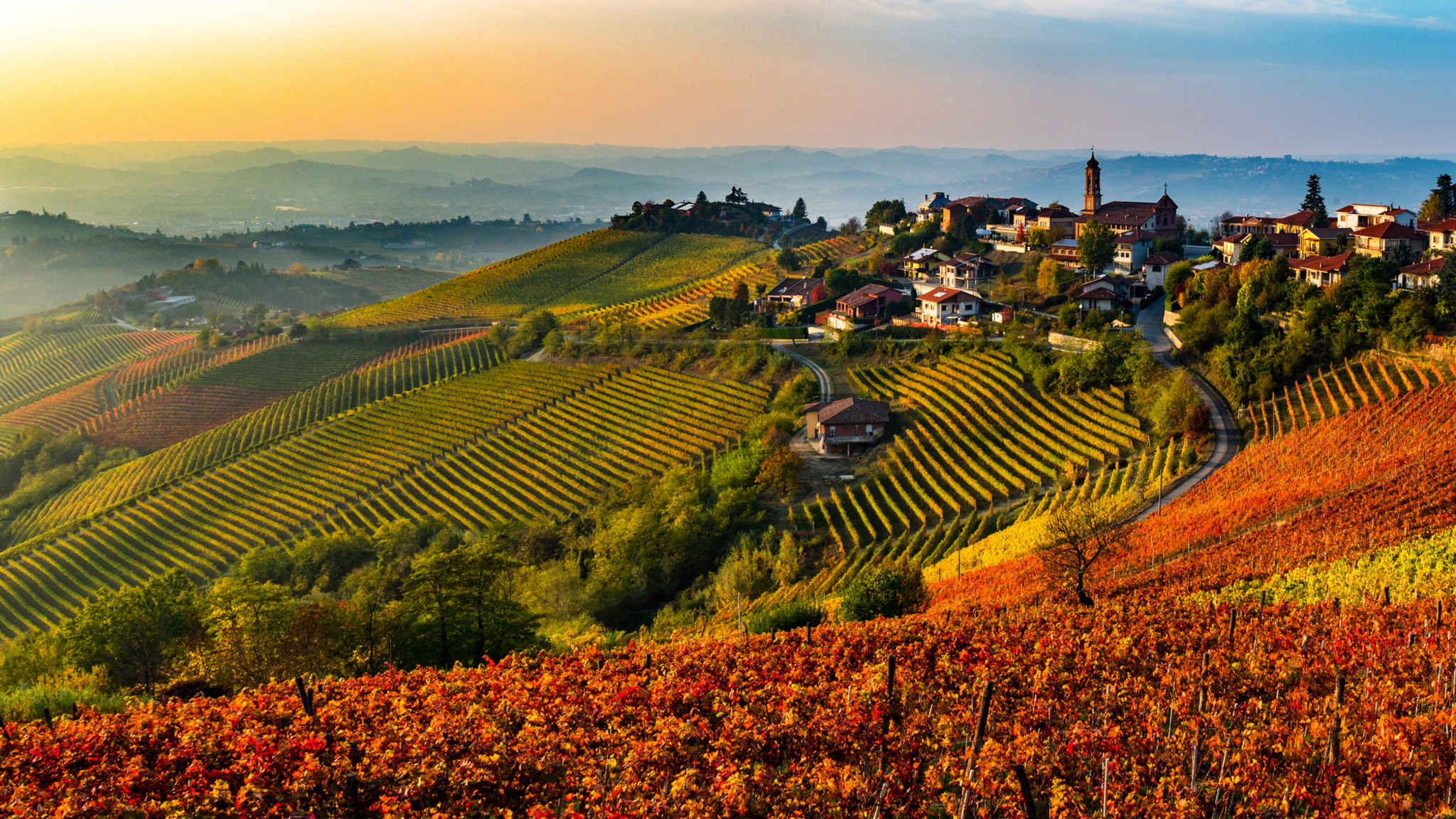 Herbstliche Weinberge mit Dorf und Hügeln in der Ferne bei Sonnenuntergang.