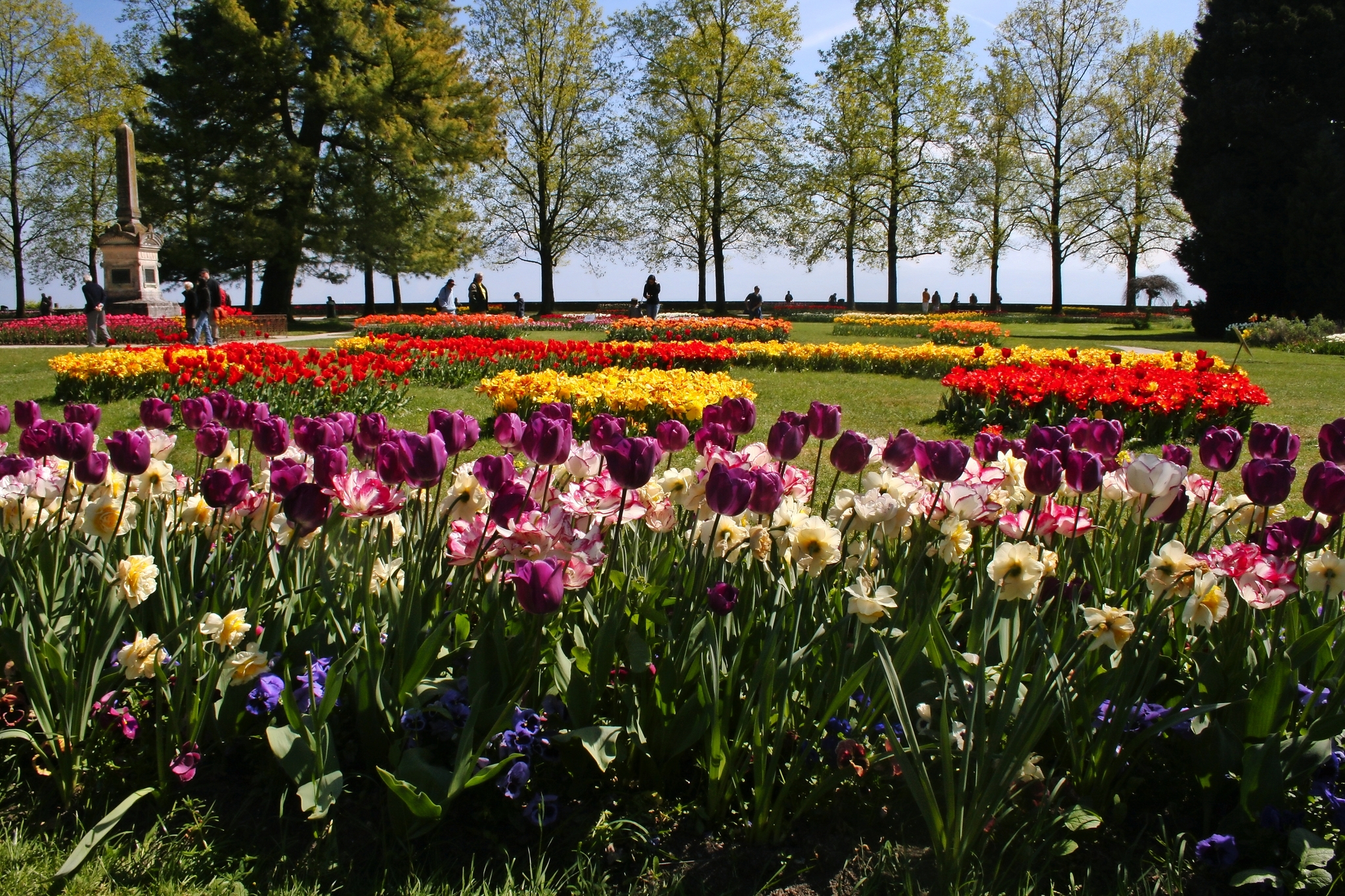 Tulpenfest Morges Bild