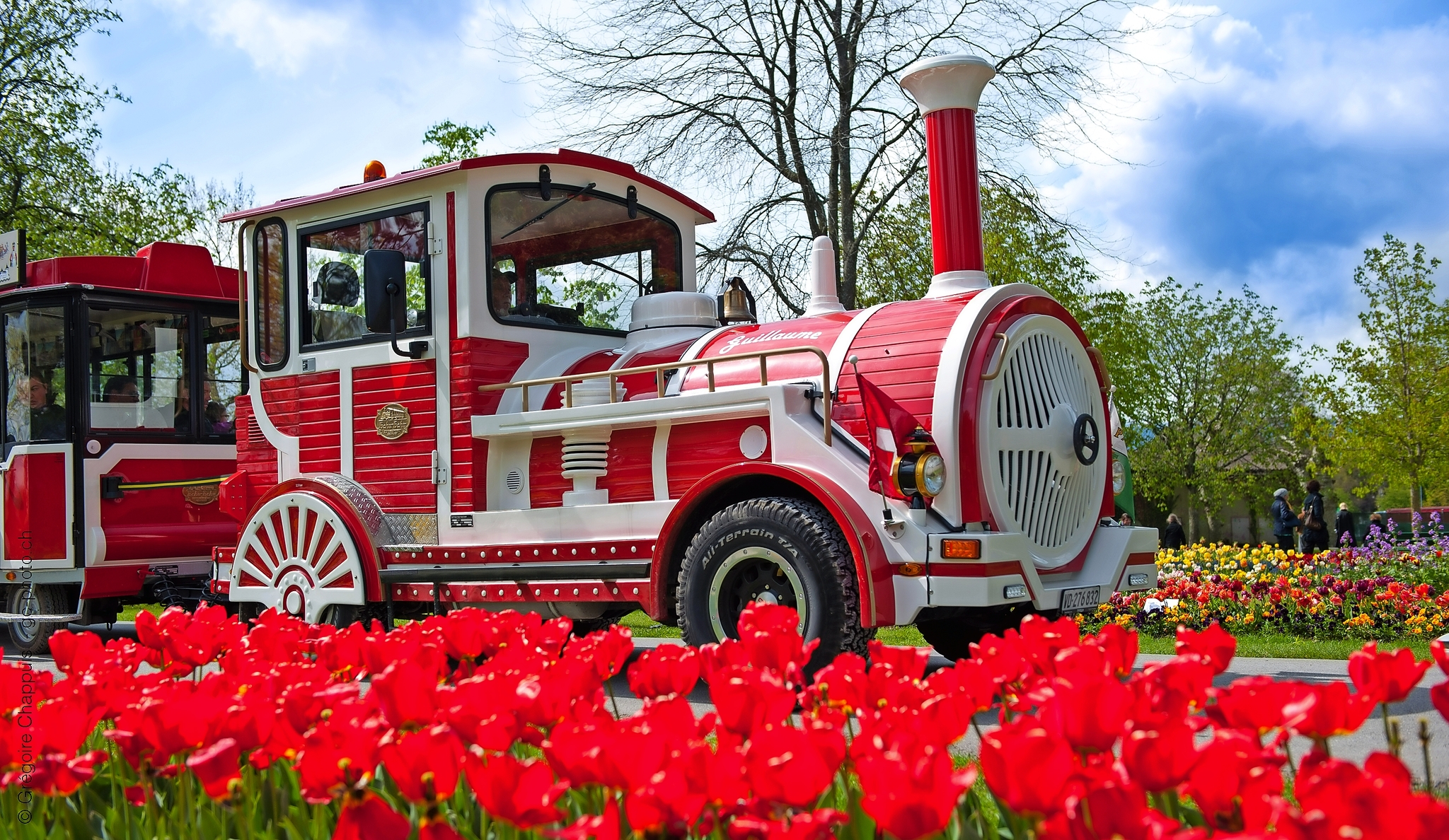 Tulpenfest Morges - Petit Train Bild