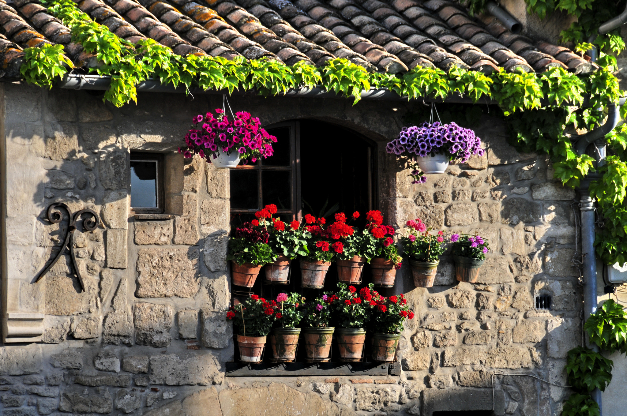 Fenster mit Blumenkästen und Reben an einem alten Steinhaus.