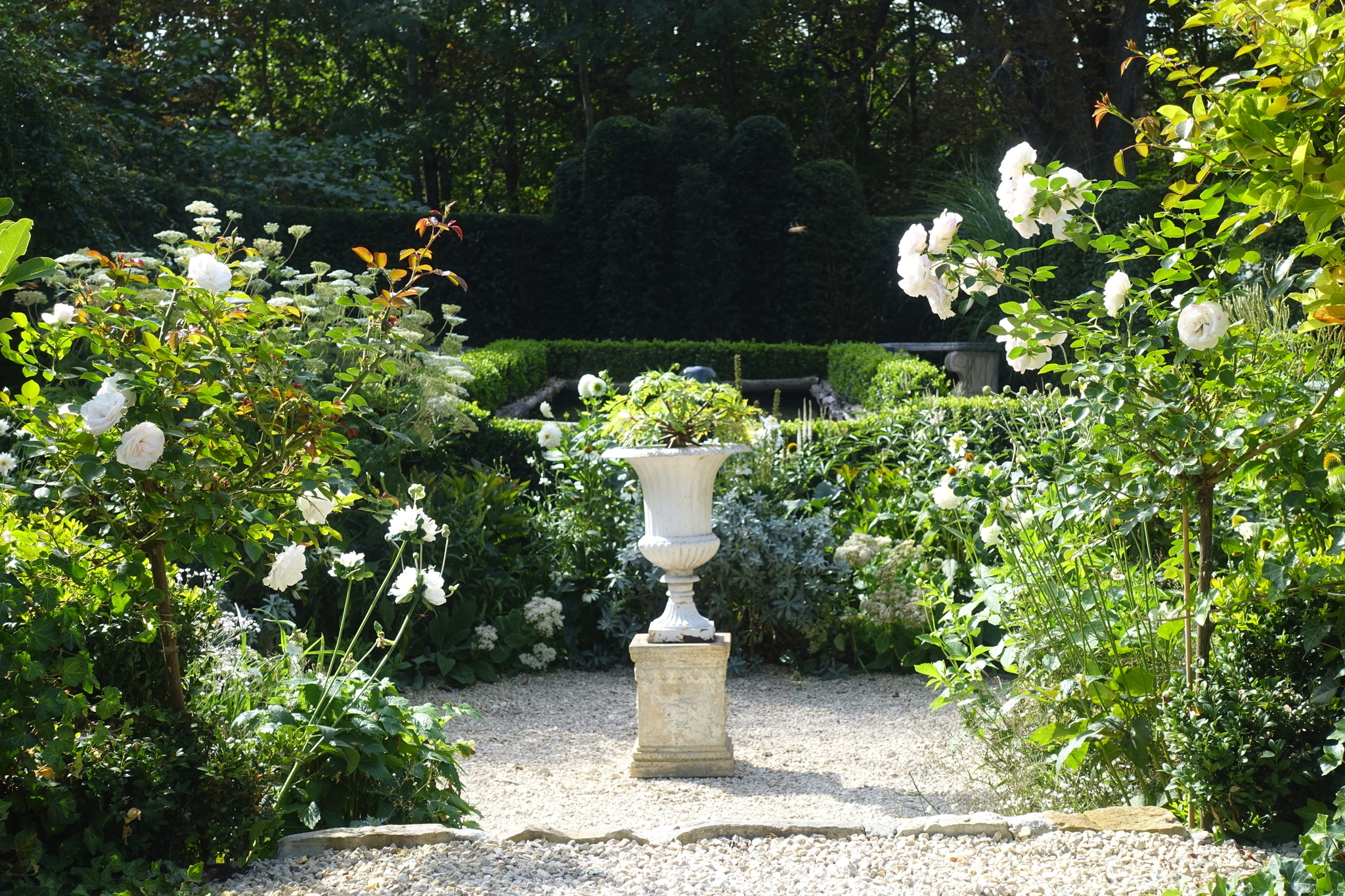 Ein gepflegter Garten mit Kiesweg und blühenden Sträuchern.
