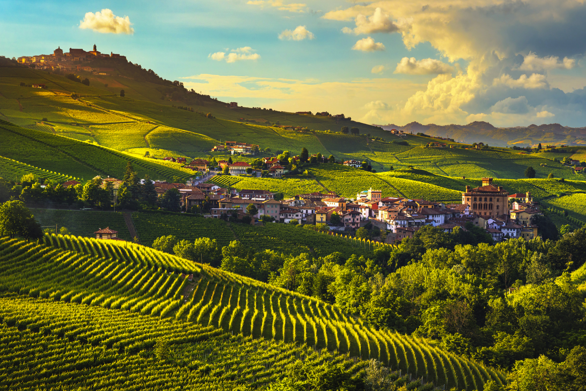 Weinberge in einer hügeligen Landschaft bei Sonnenuntergang mit einem kleinen Dorf im Hintergrund.