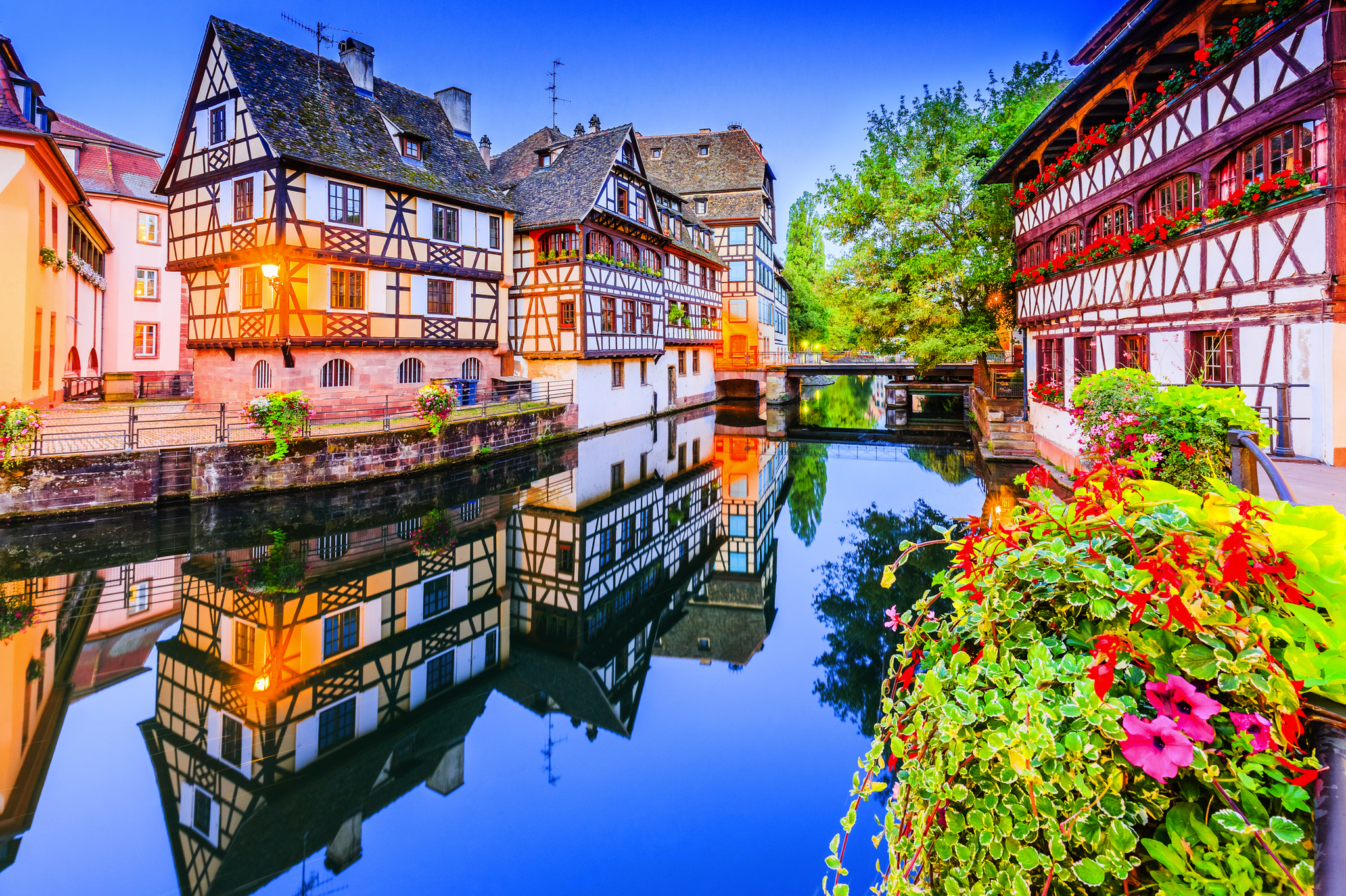 Fachwerkhäuser am Wasser mit Blumen im Vordergrund und spiegelnder Wasserfläche.