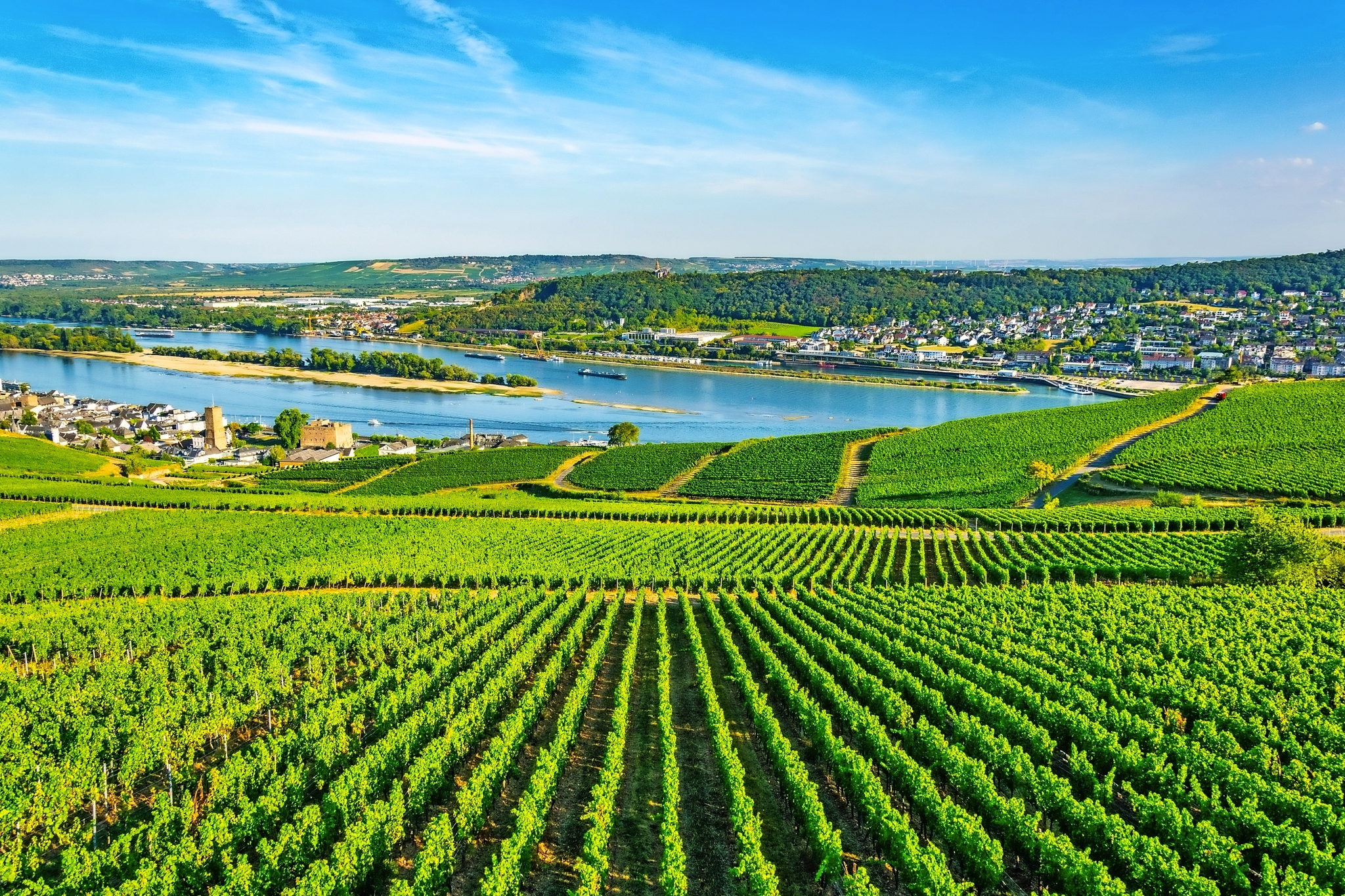 Rüdesheim am Rhein Bild