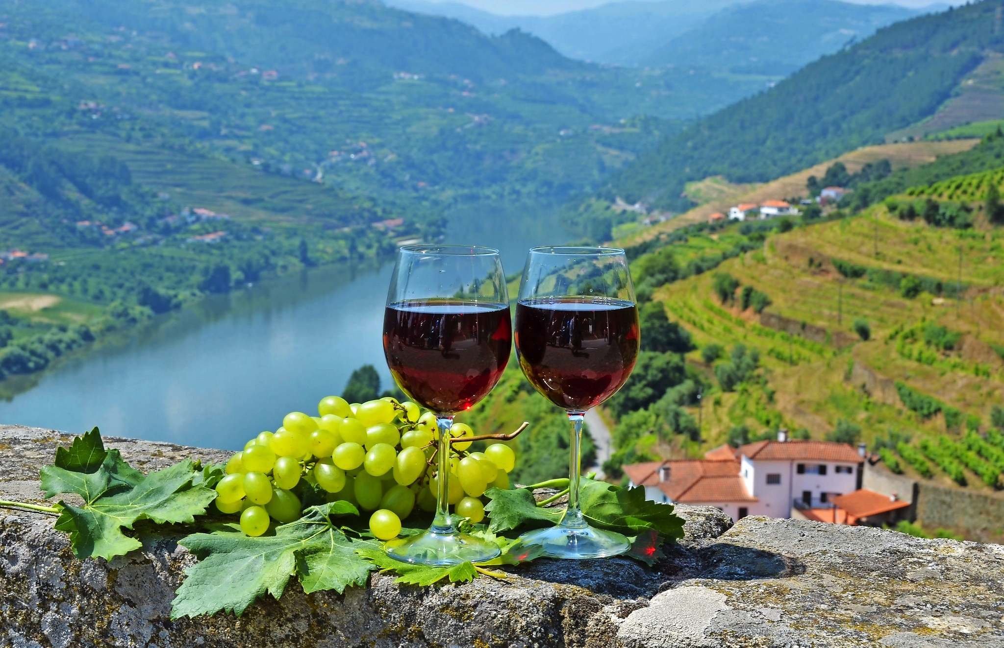 Douro Bild