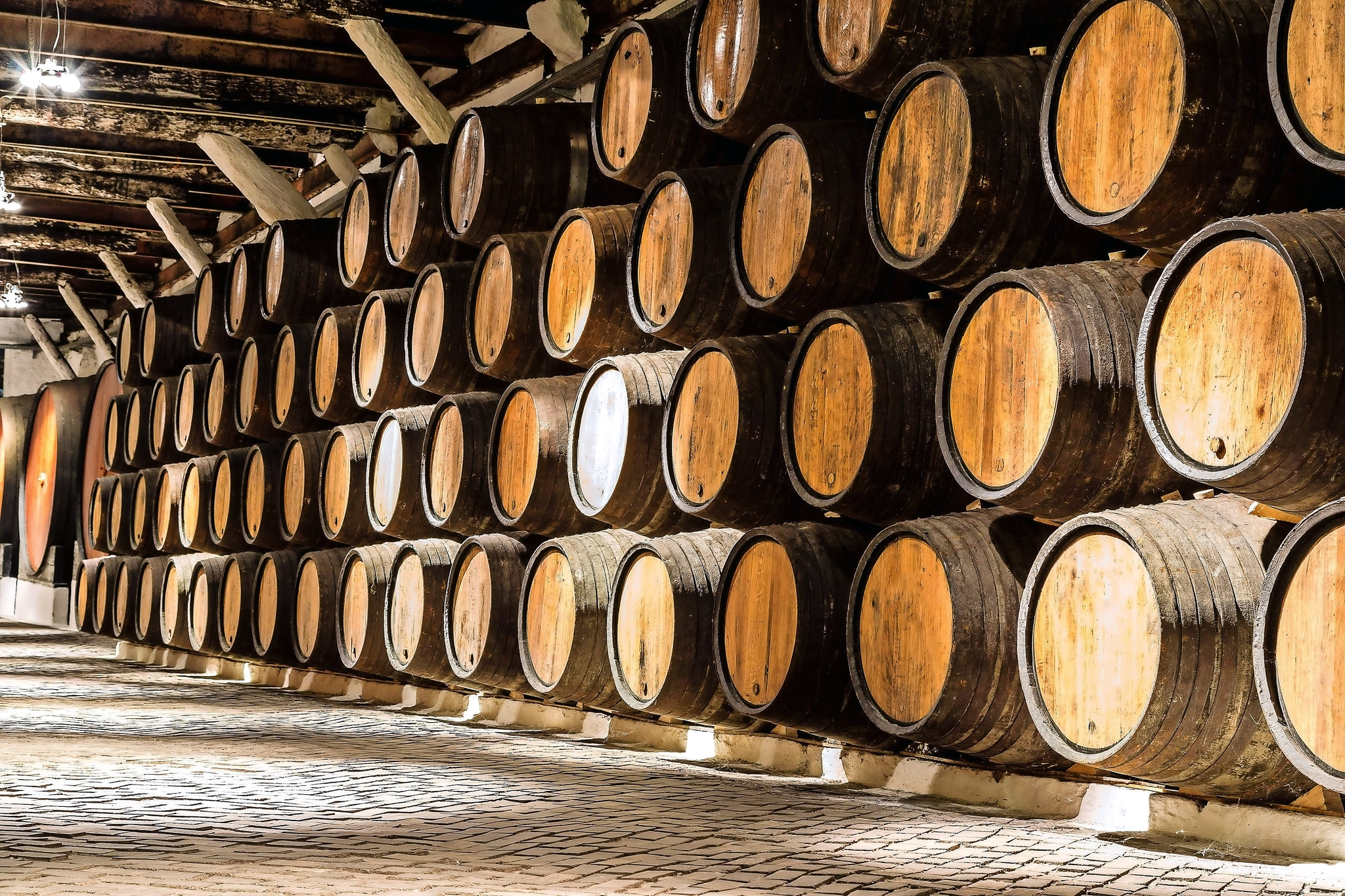 Portweinkellerei Bild