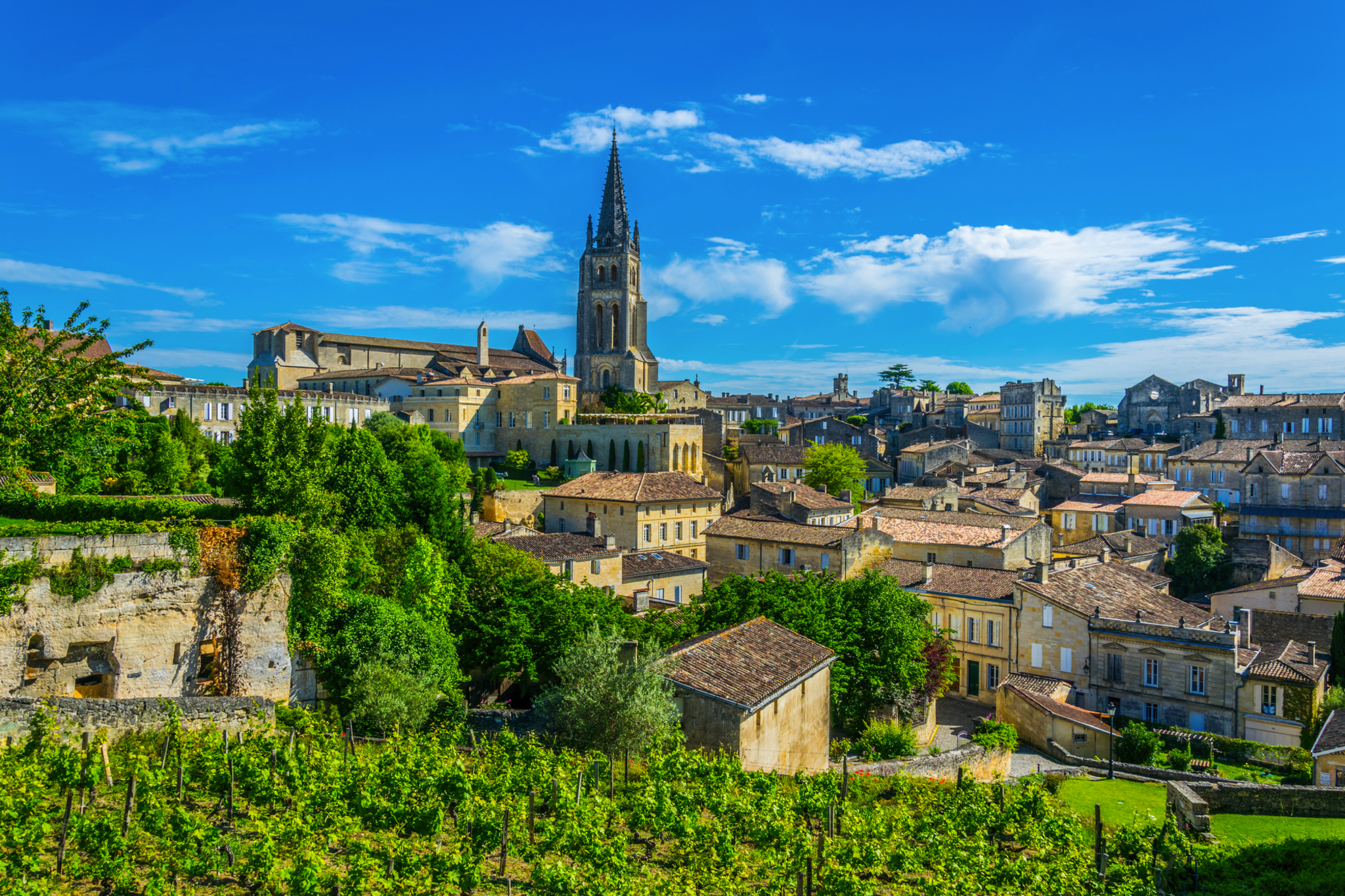 Saint Emilion Bild