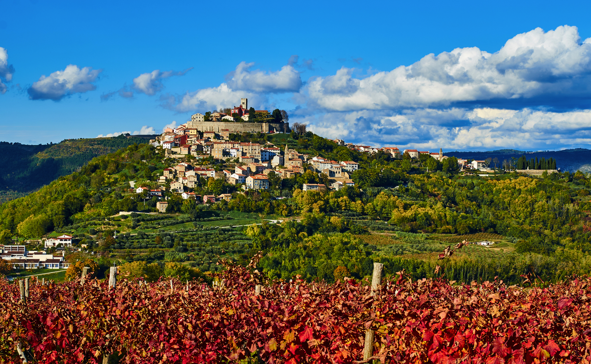 Motovun im Herbst Bild