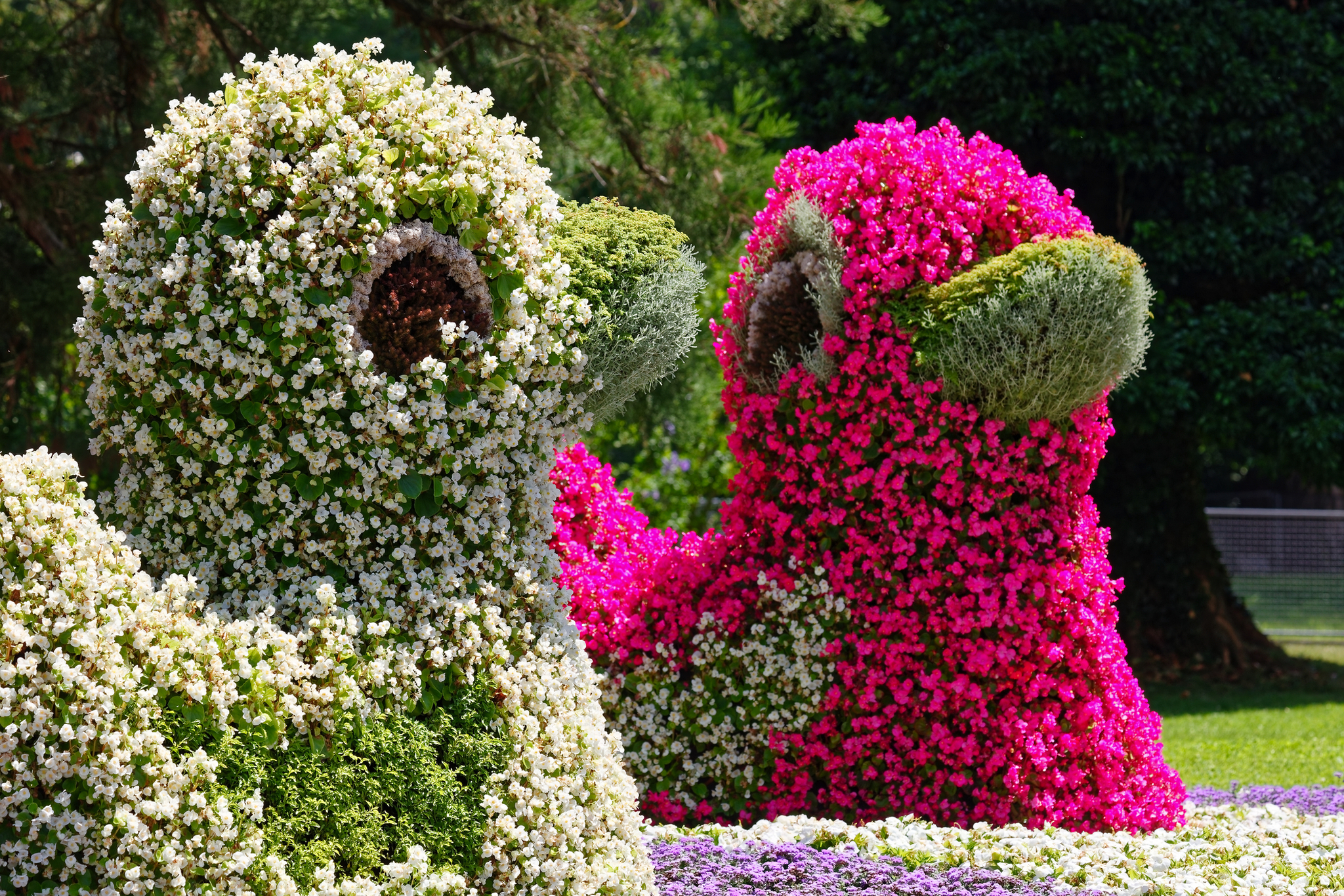 Bunte Blumenarrangements in Form von Enten im Schlosspark auf der Insel Mainau.