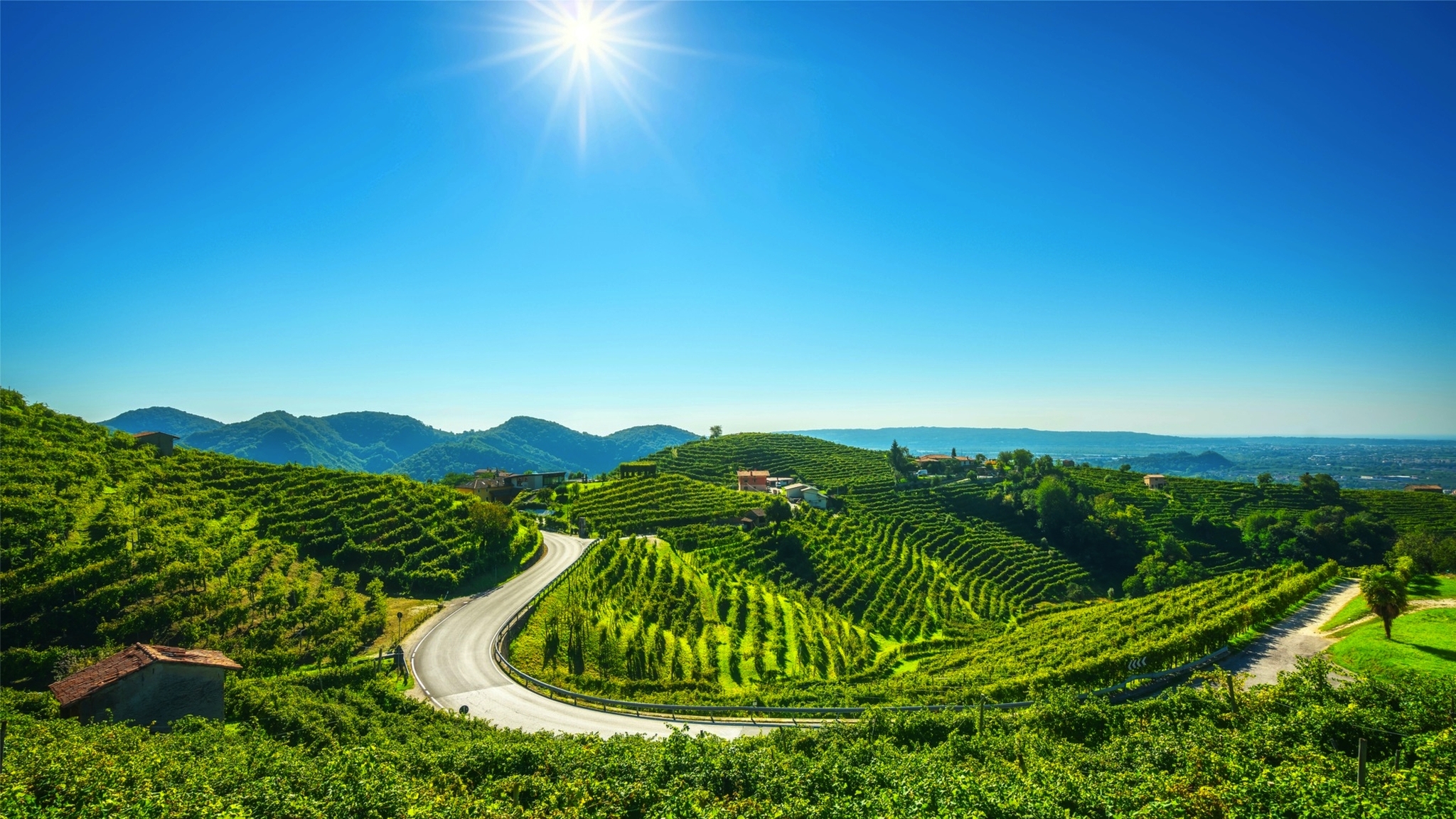 Proseccostrasse Venetien Bild