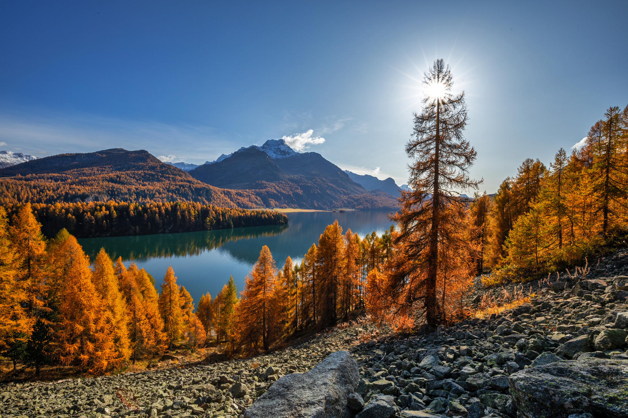 Prädikat goldrichtig Bild