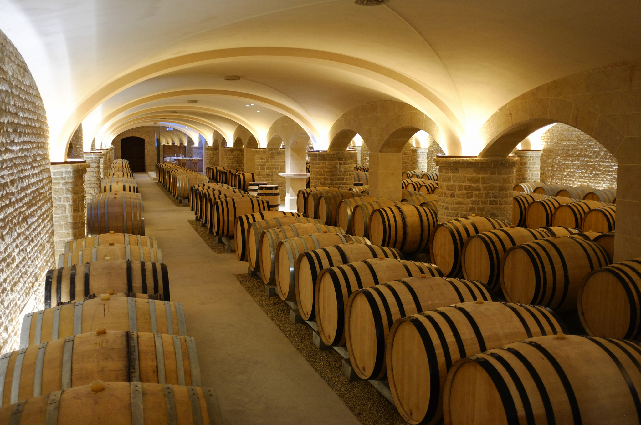 Château Les Ursulines, Cuverie, Nuits-Saint-Georges Bild