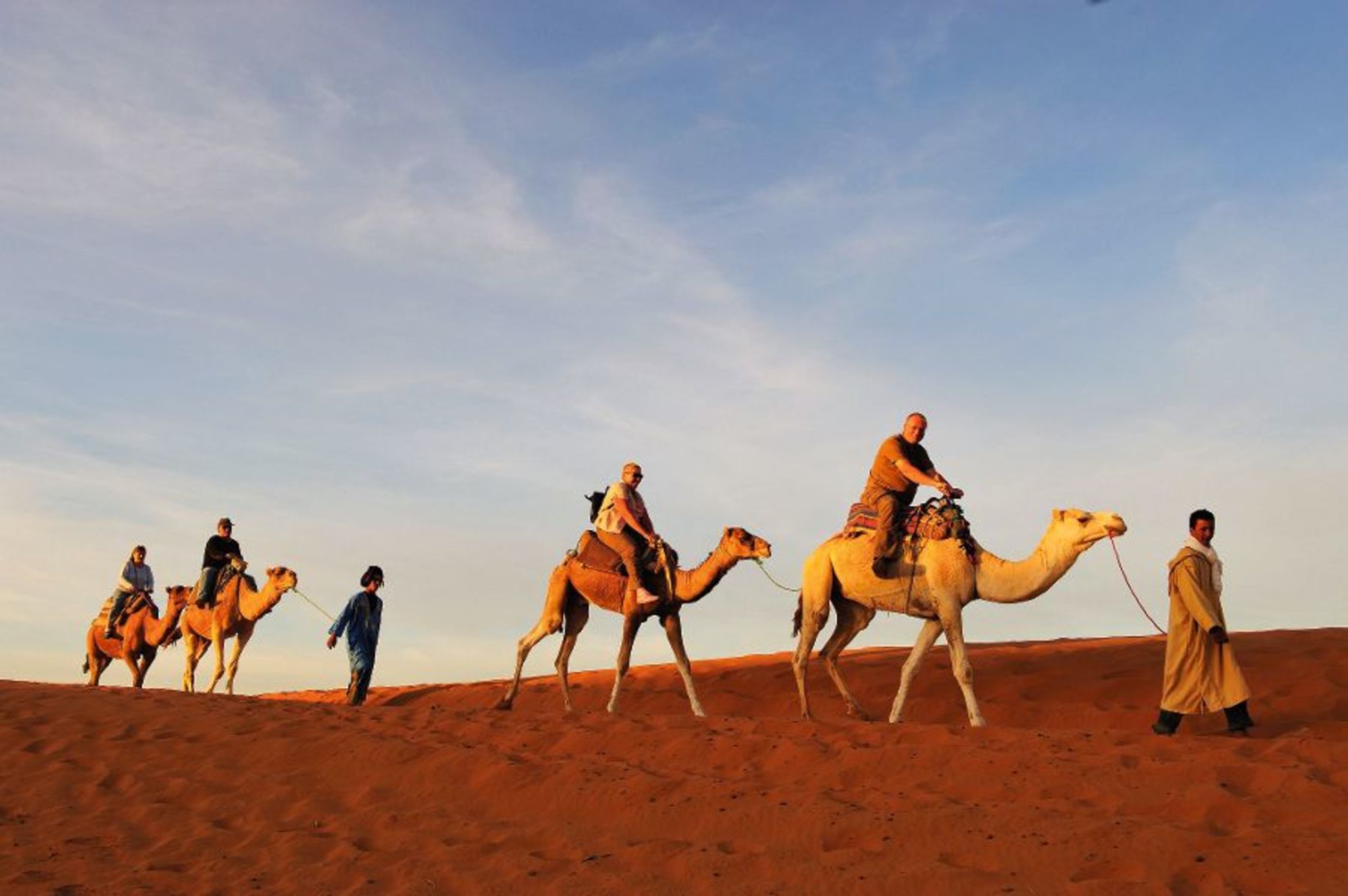 Wüstensafari mit Kamelen Bild