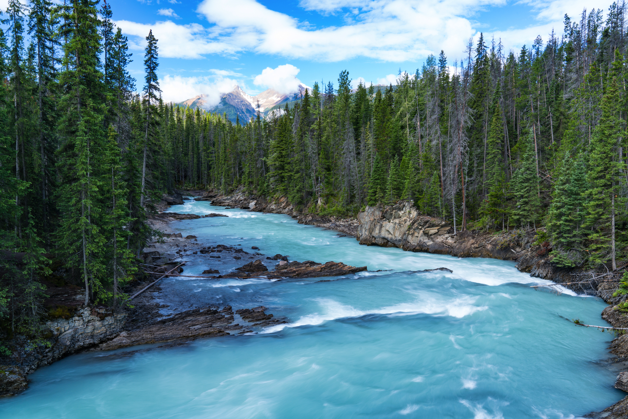 Bergfluss umgeben von Nadelbäumen vor einem bewölkten Himmel.