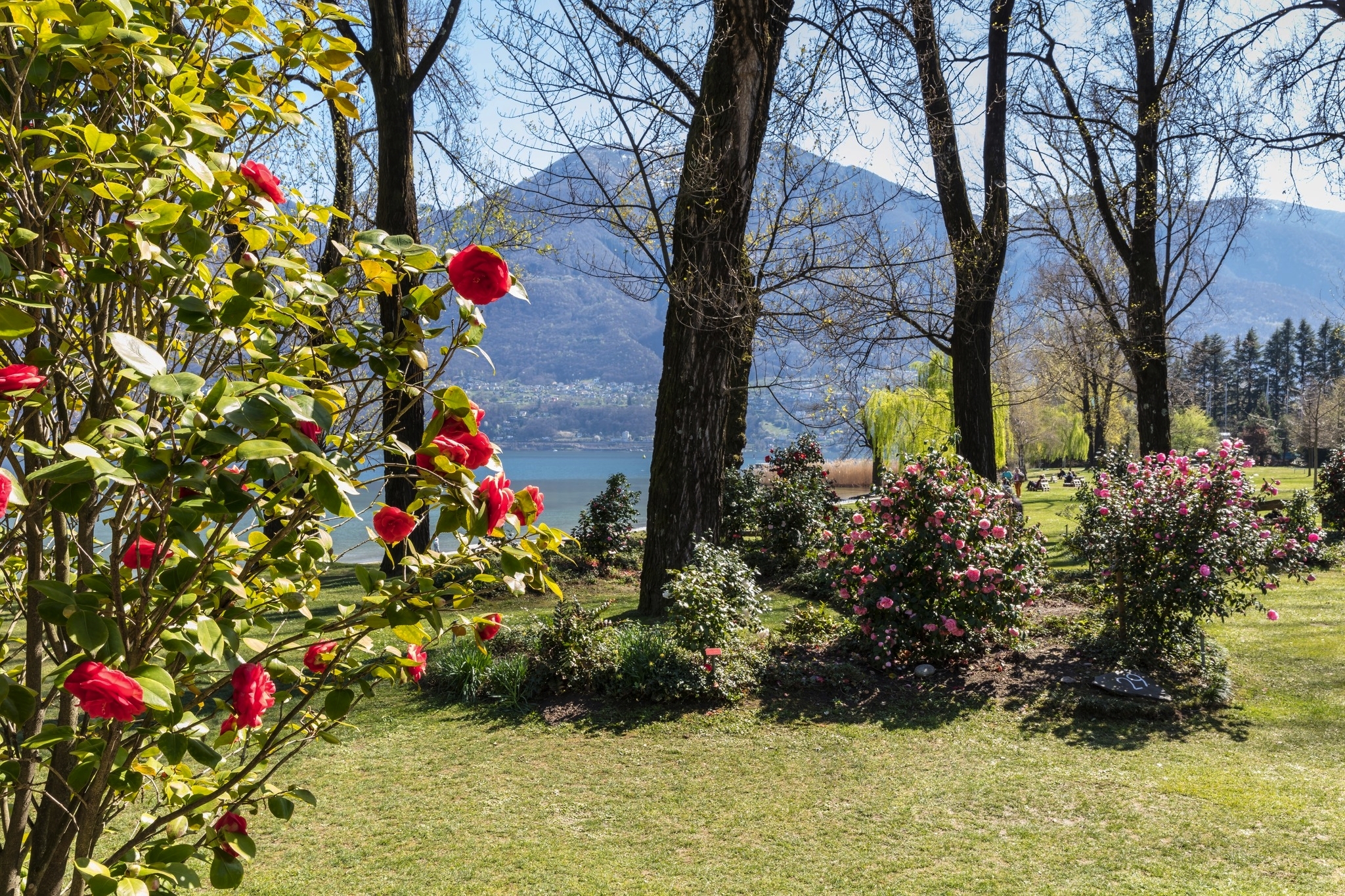 Von März bis April zeigt sich der Garten in voller Blütenpracht Bild