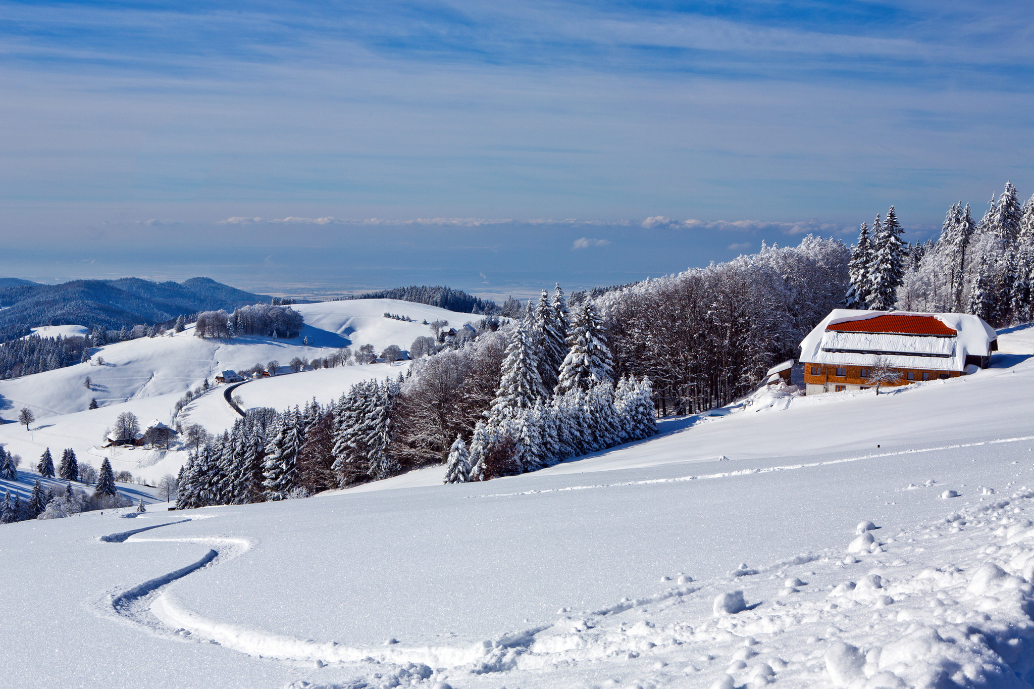 winterlicher Schwarzwald Bild