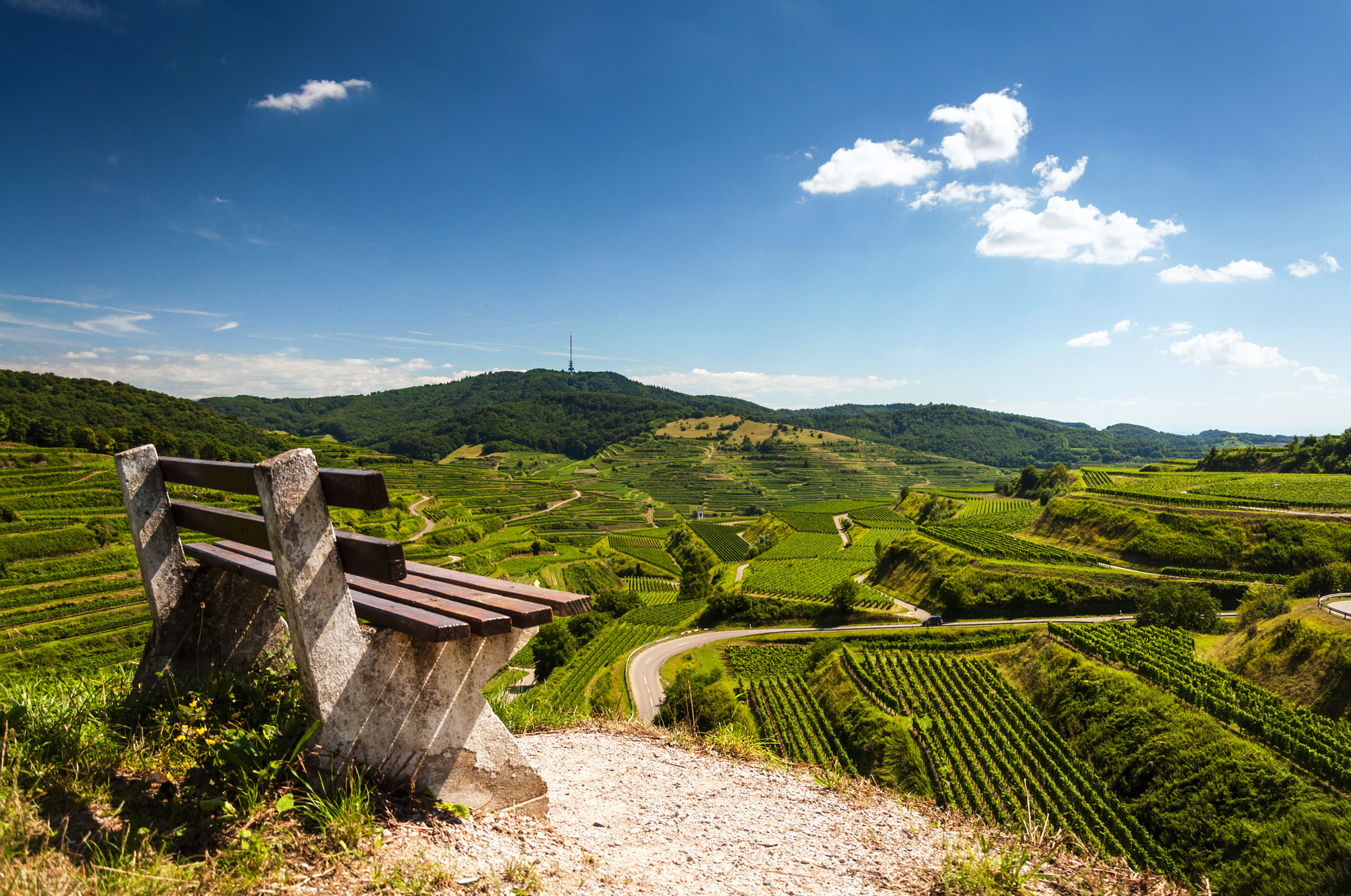 Bank mit Blick auf hügelige Weinberge unter blauem Himmel.