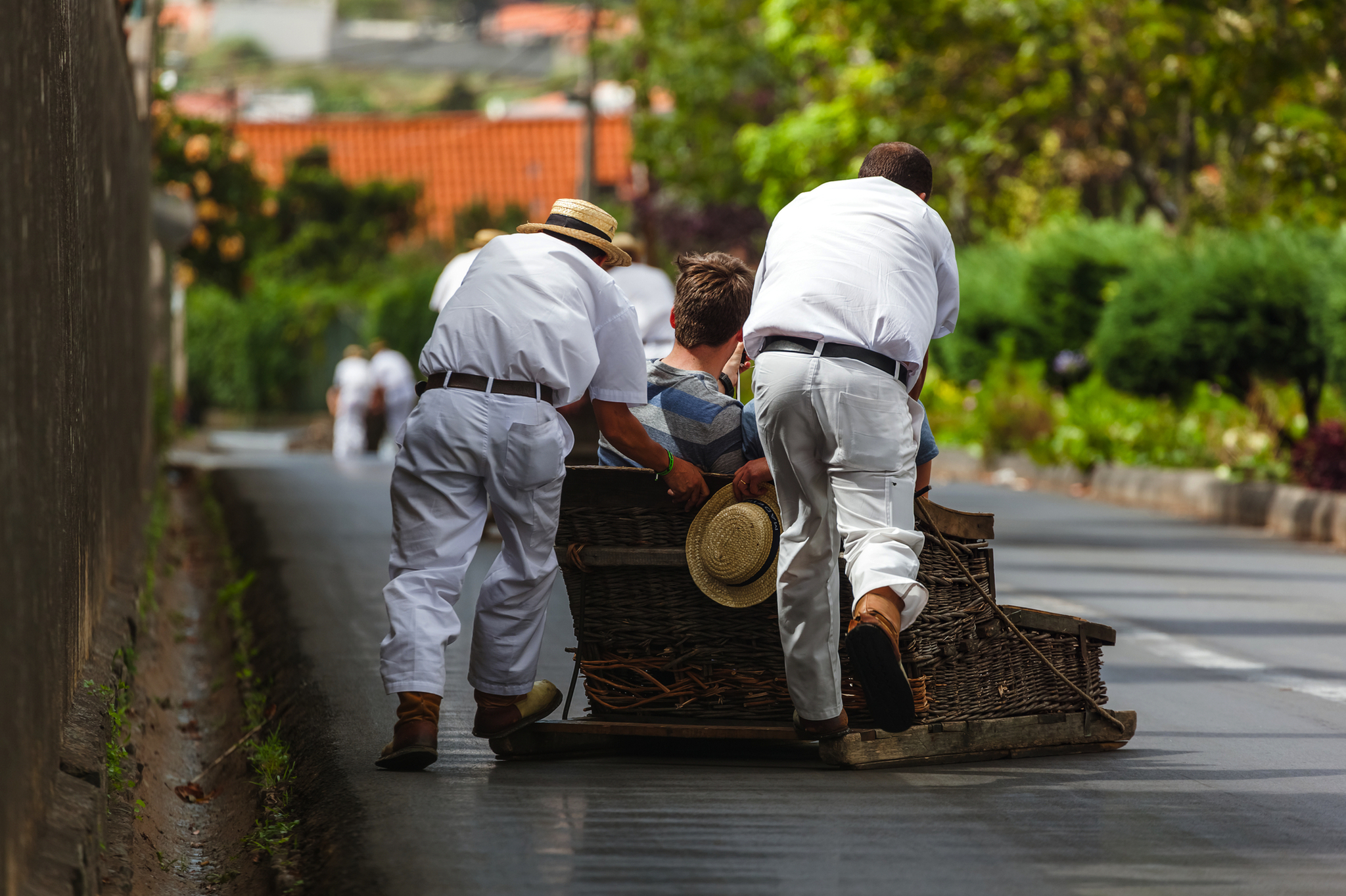 Korbschlittenfahrer in traditioneller Kleidung schieben einen hölzernen Korbschlitten mit einem sitzenden Passagier eine Straße in Monte, Funchal, Madeira hinunter.