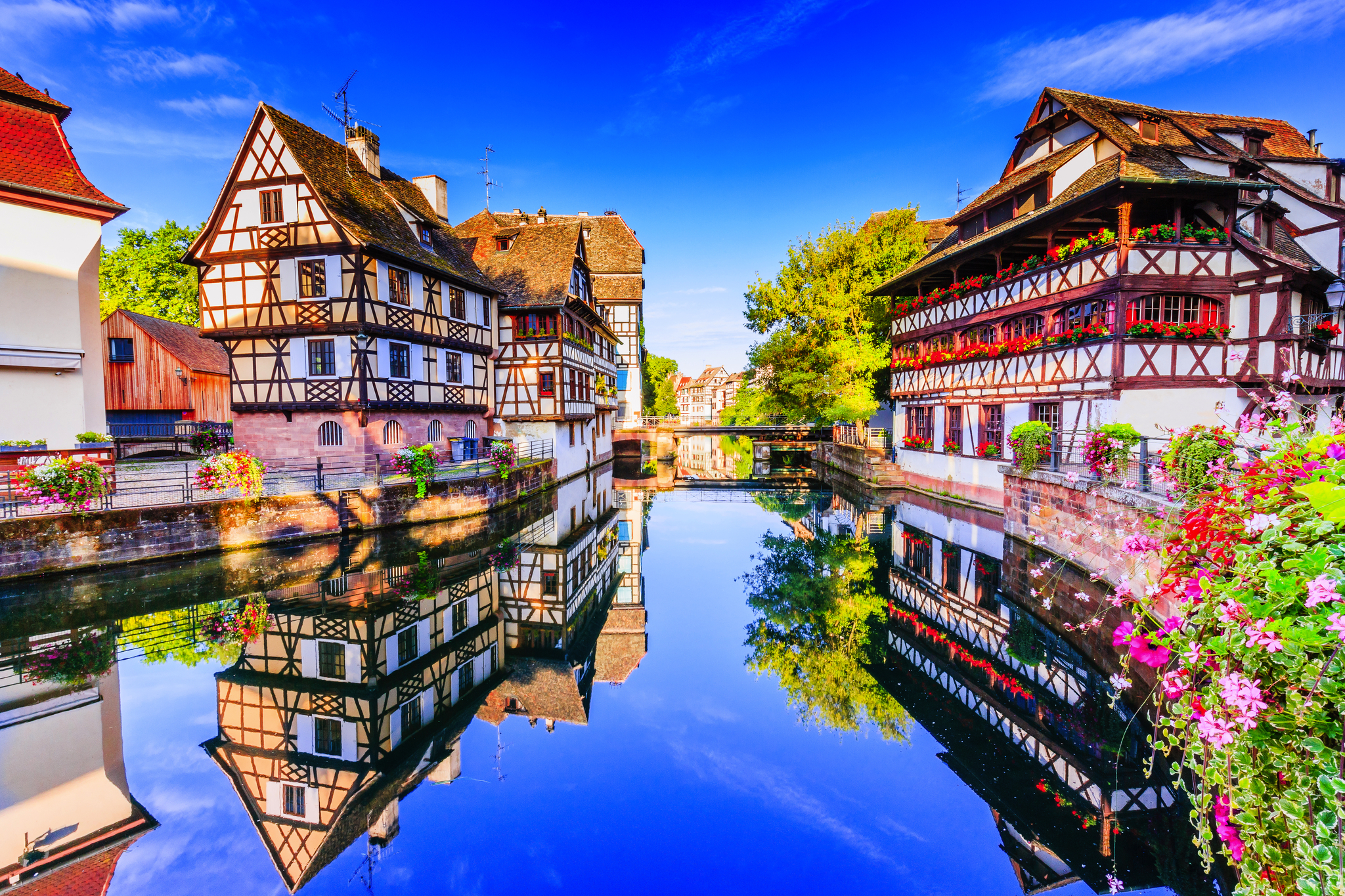 Strasbourg, Alsace, France. Bild