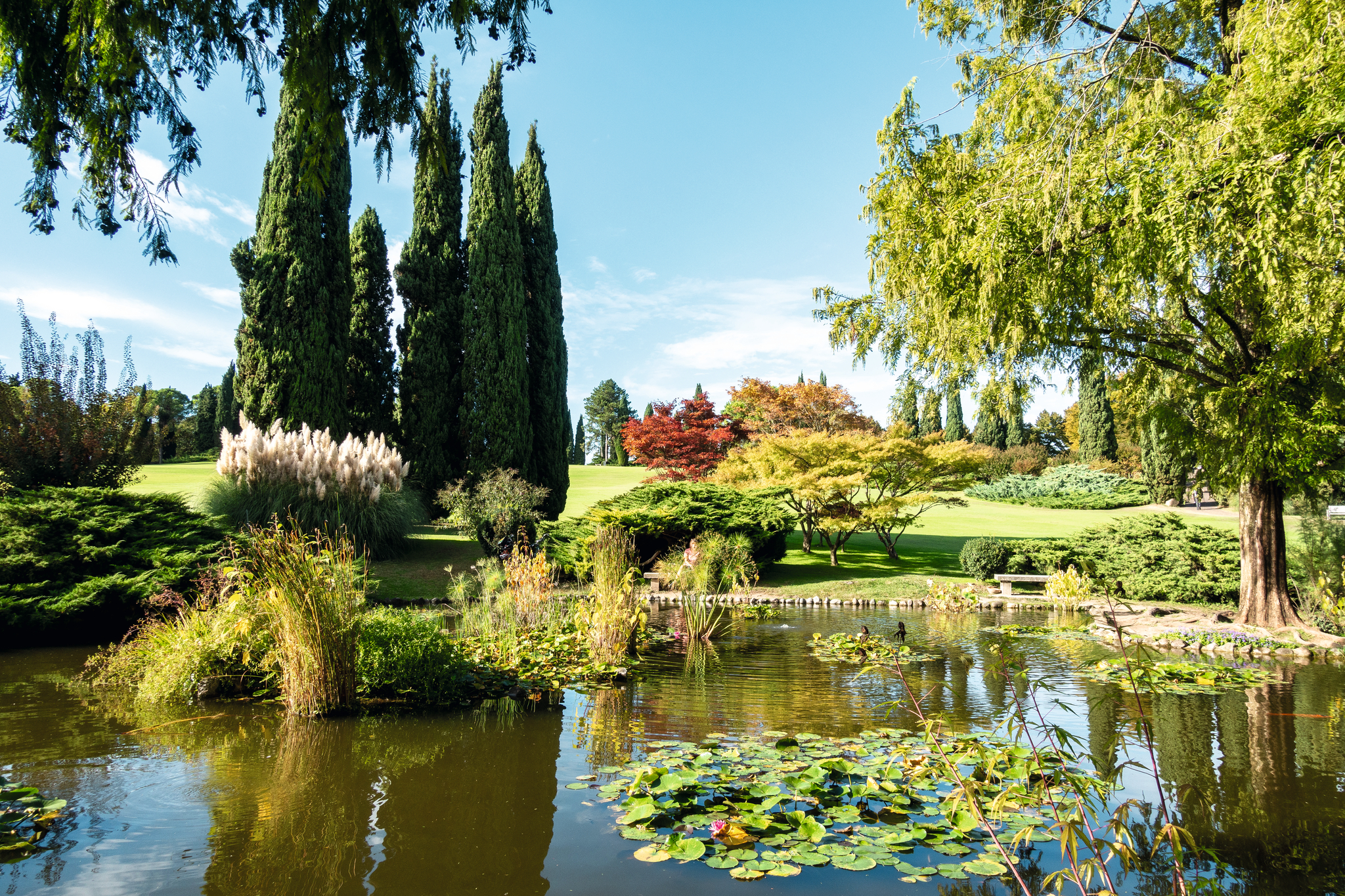 Garten mit Teich, Bäumen und buntem Herbstlaub