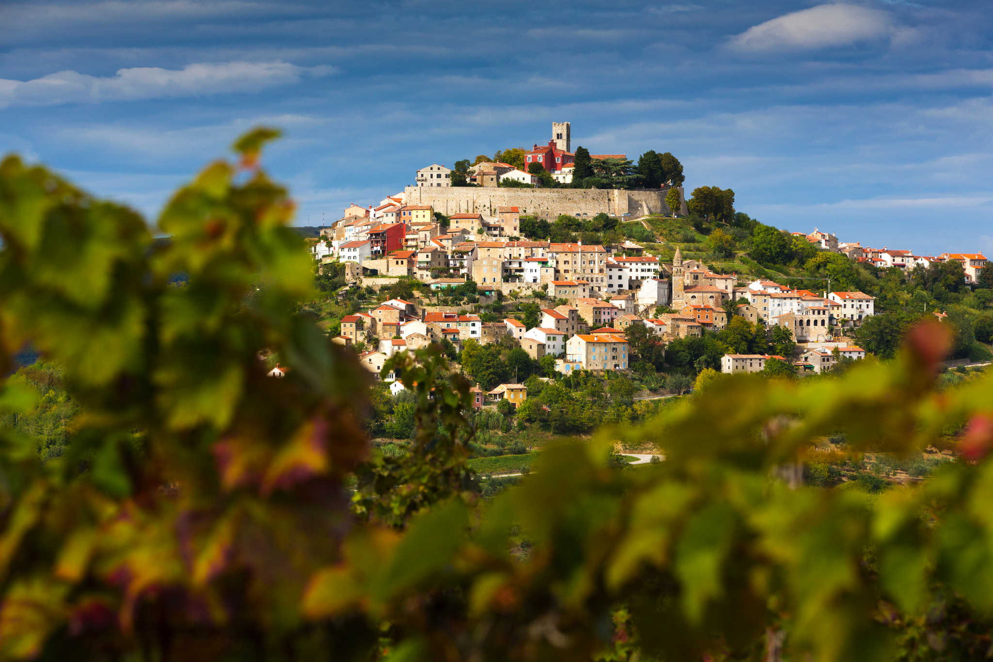 Kroatien, Istrien, Blick durch die Weinberge nach Motovun Bild