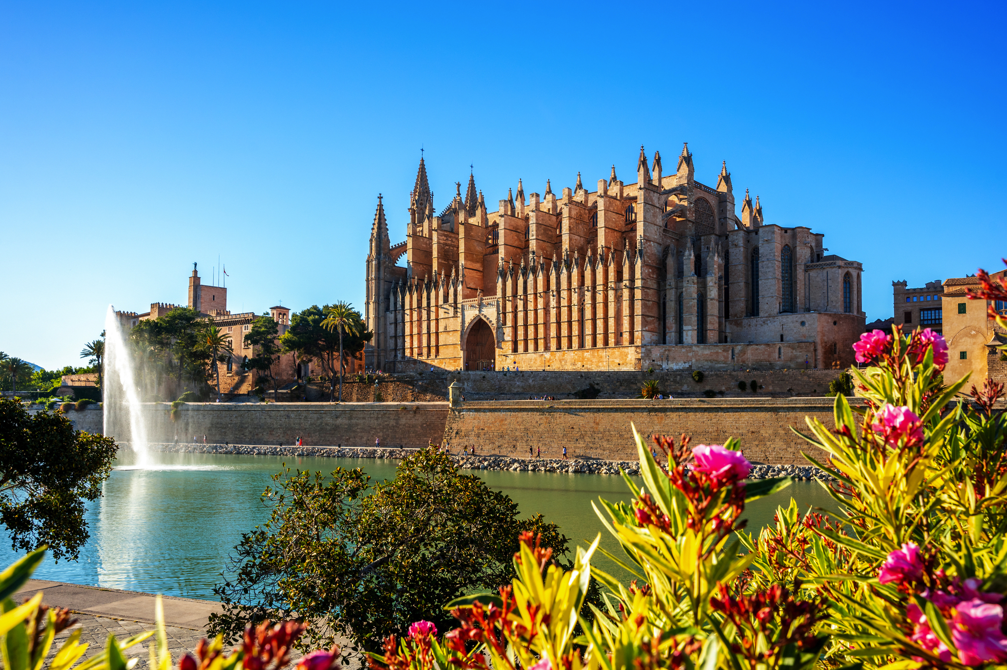 Kathedrale von Palma de Mallorca mit einer blühenden Umgebung und einem See im Vordergrund.