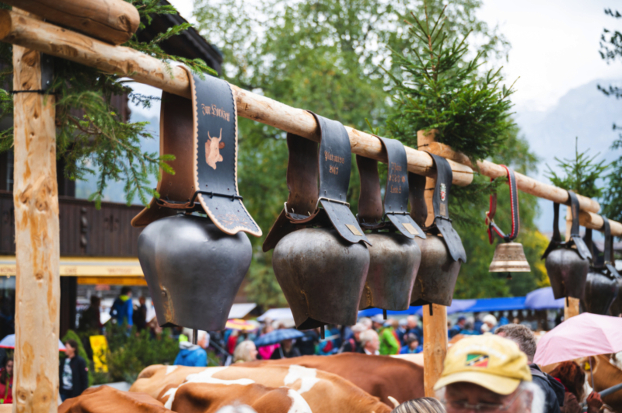 Älplerfest 2022 Bild