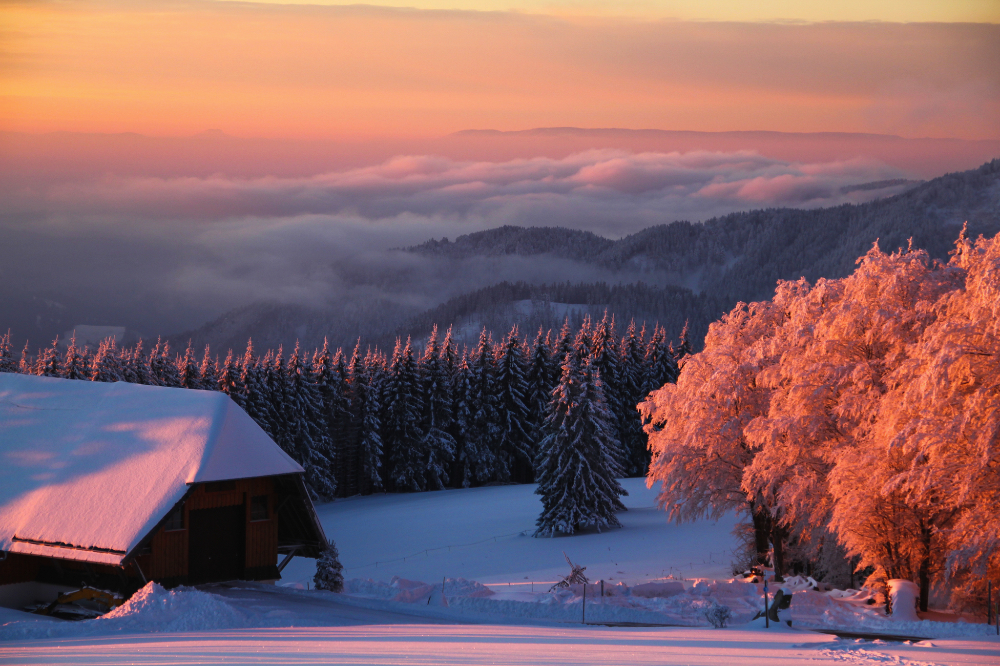 winterlicher Schwarzwald im Sonnenuntergang Bild