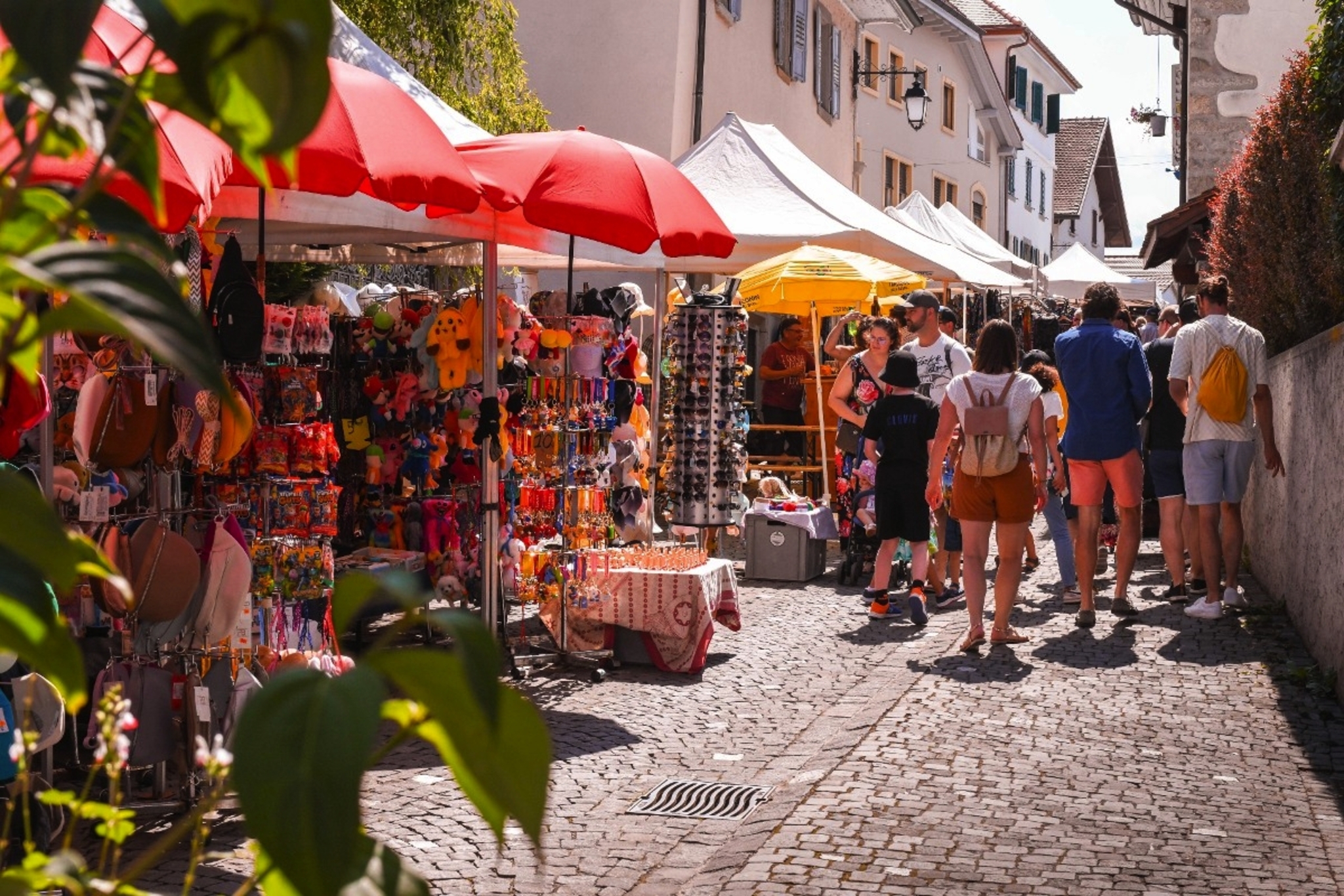 Markt in Estavayer-ee-Lac Bild