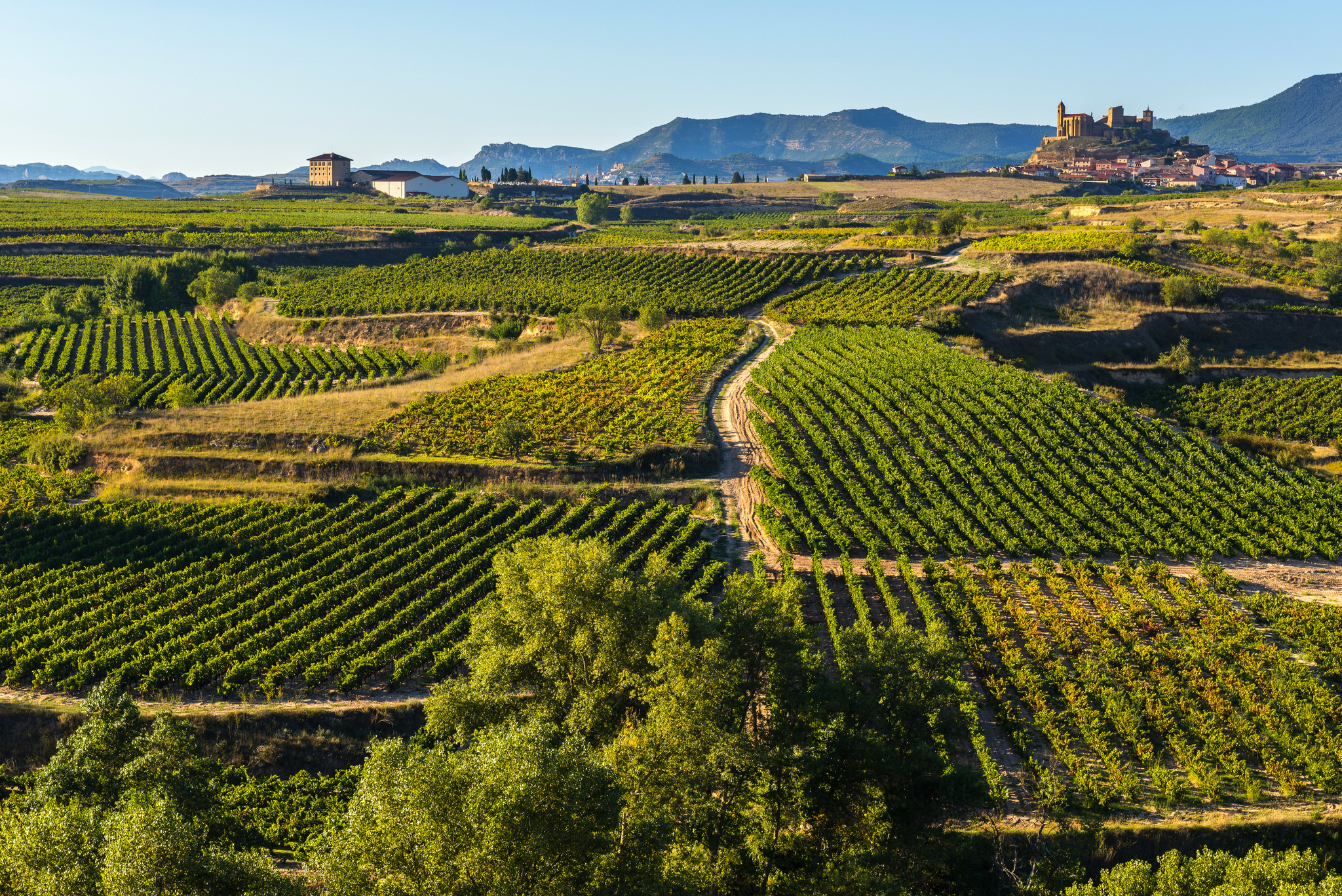 Weinregion Rioja Bild