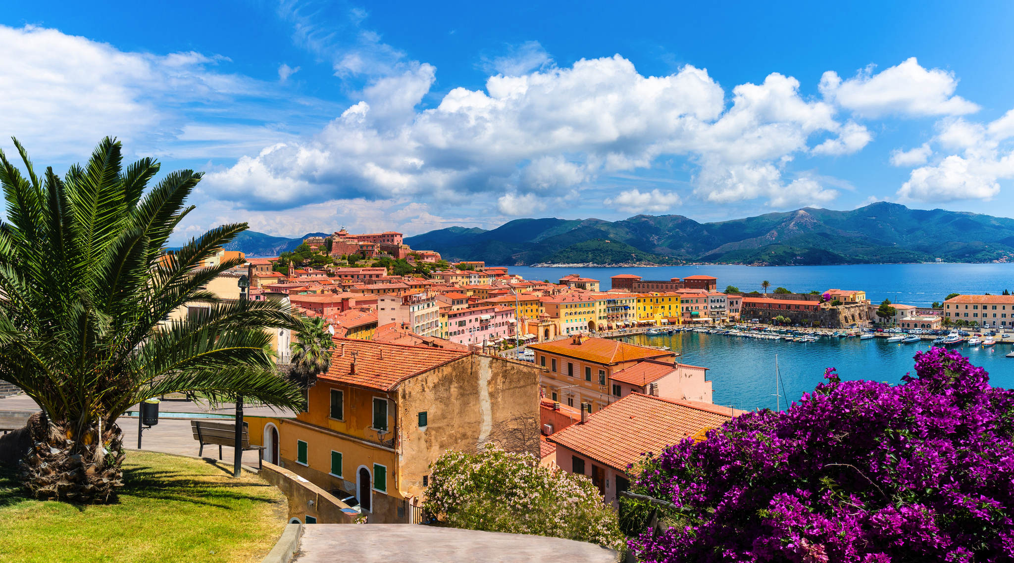 Altstadt und Hafen von Portoferraio auf der Insel Elba Bild