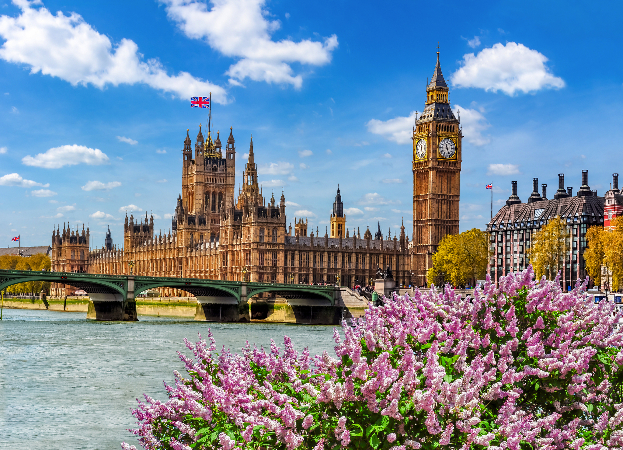 Palast von Westminster und Big Ben an der Themse in London mit Blumen im Vordergrund.