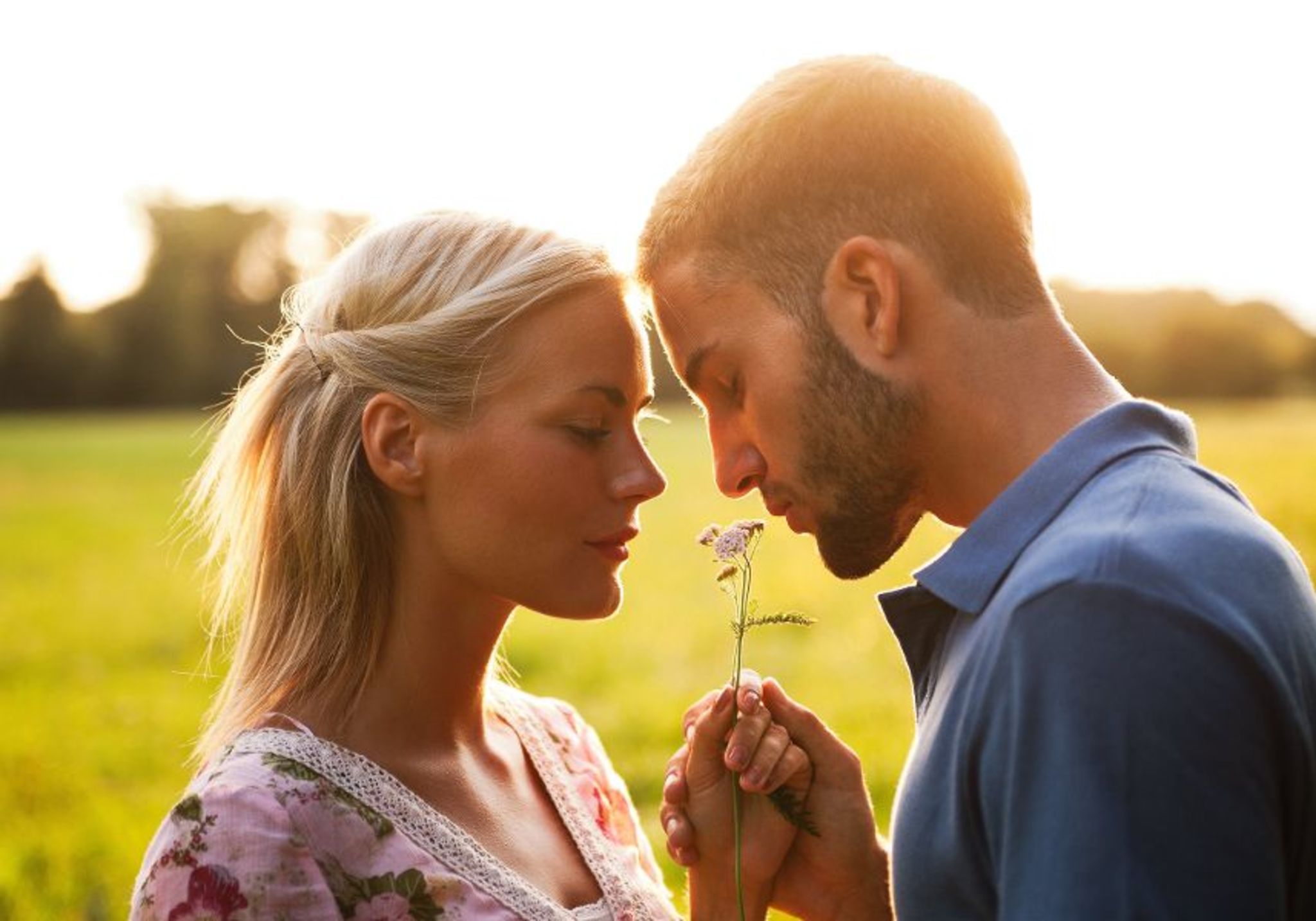 Romantisches "Lindström" Land Bild