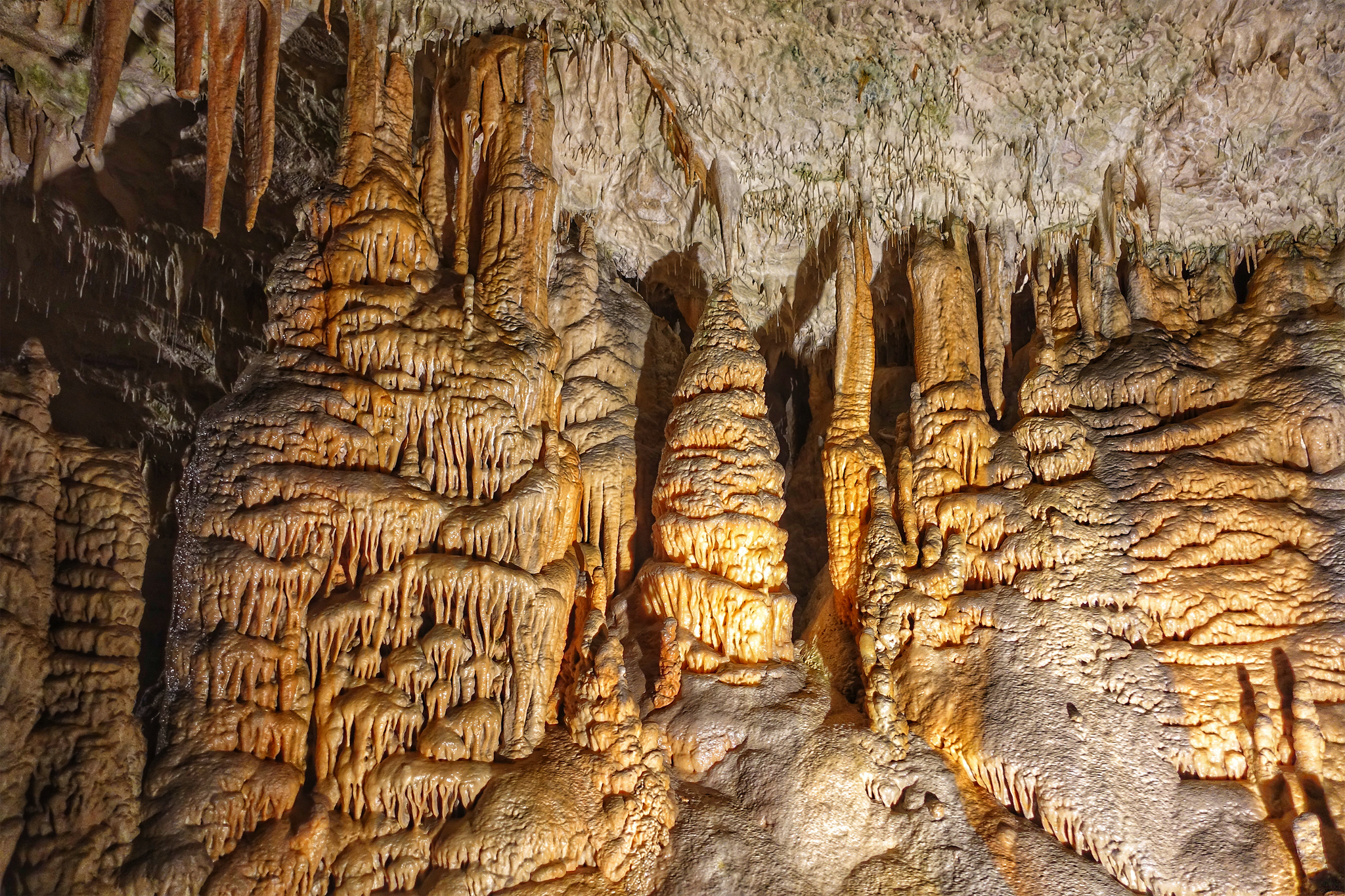 Postojna Höhlen Bild